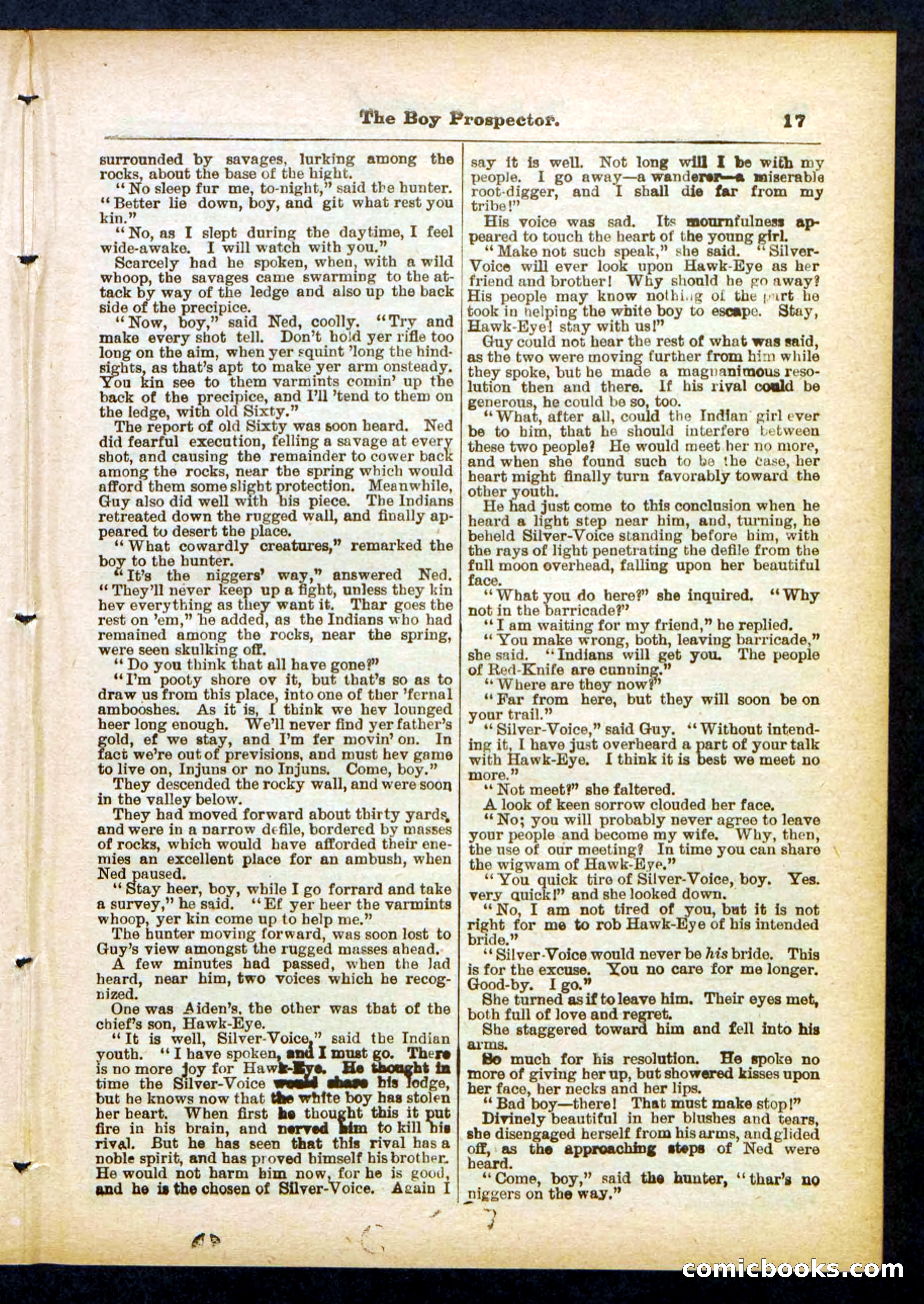 Beadle's Pocket Library No. 419 — page 17 of 32