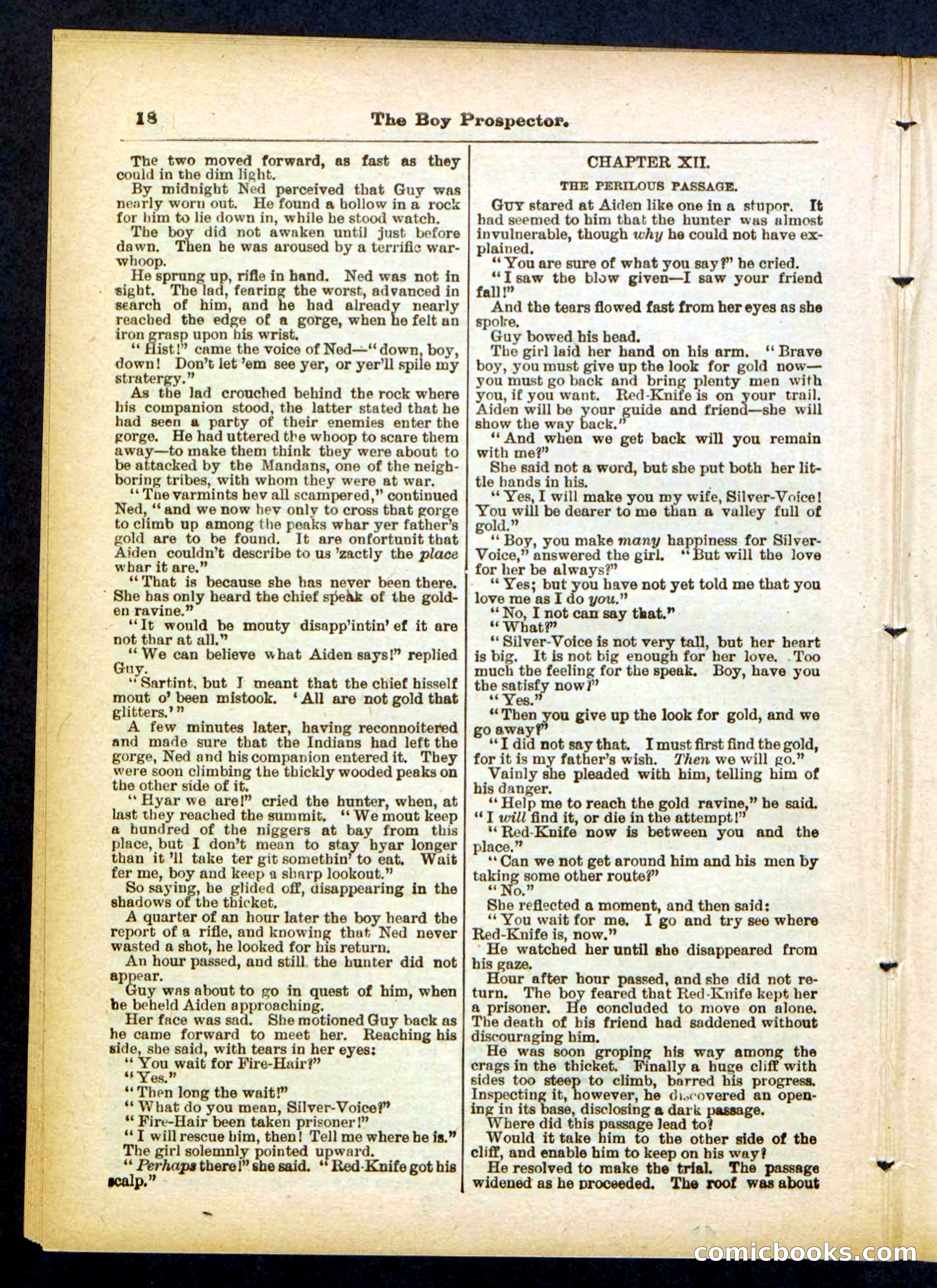 Beadle's Pocket Library No. 419 — page 18 of 32