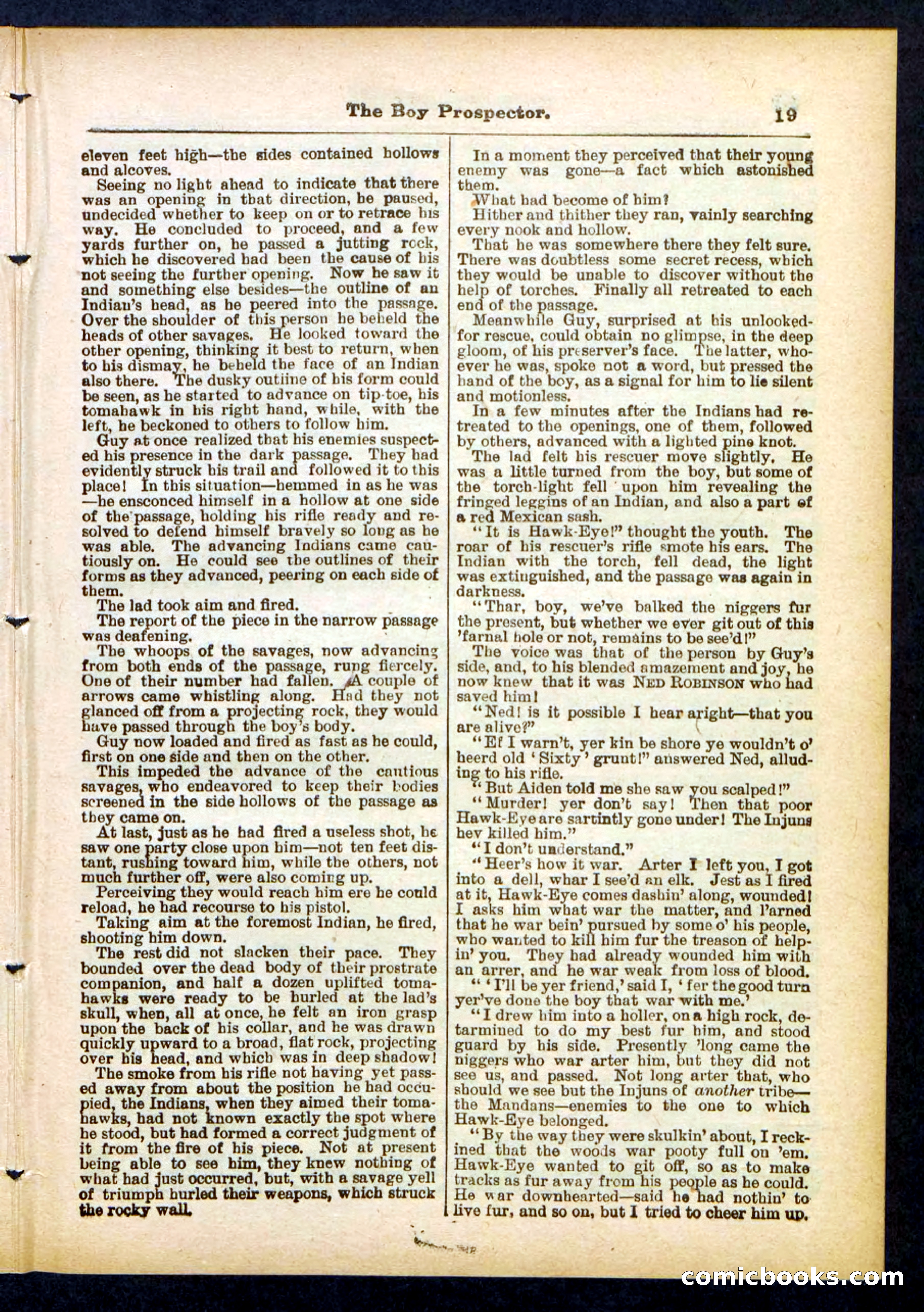 Beadle's Pocket Library No. 419 — page 19 of 32