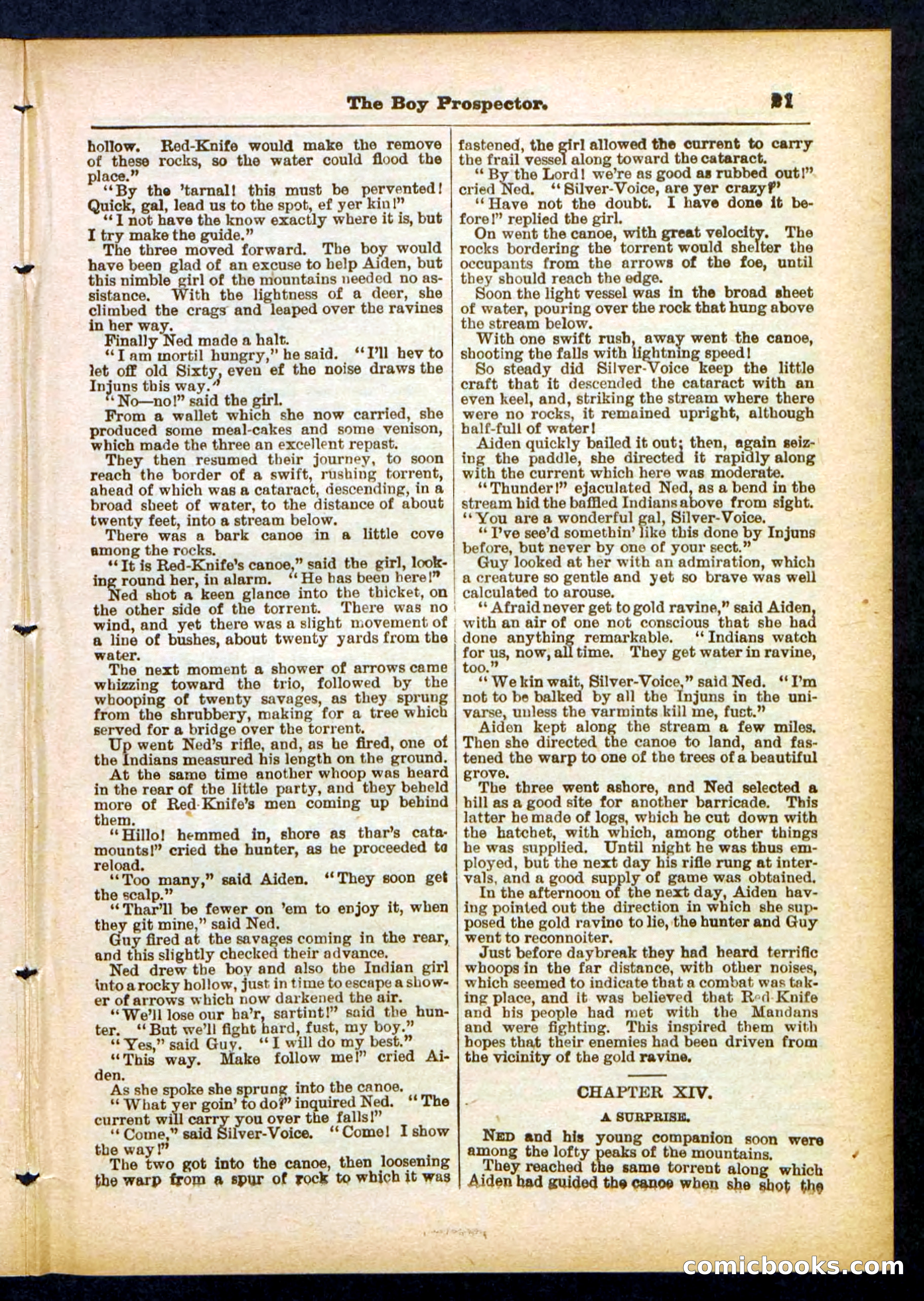 Beadle's Pocket Library No. 419 — page 21 of 32
