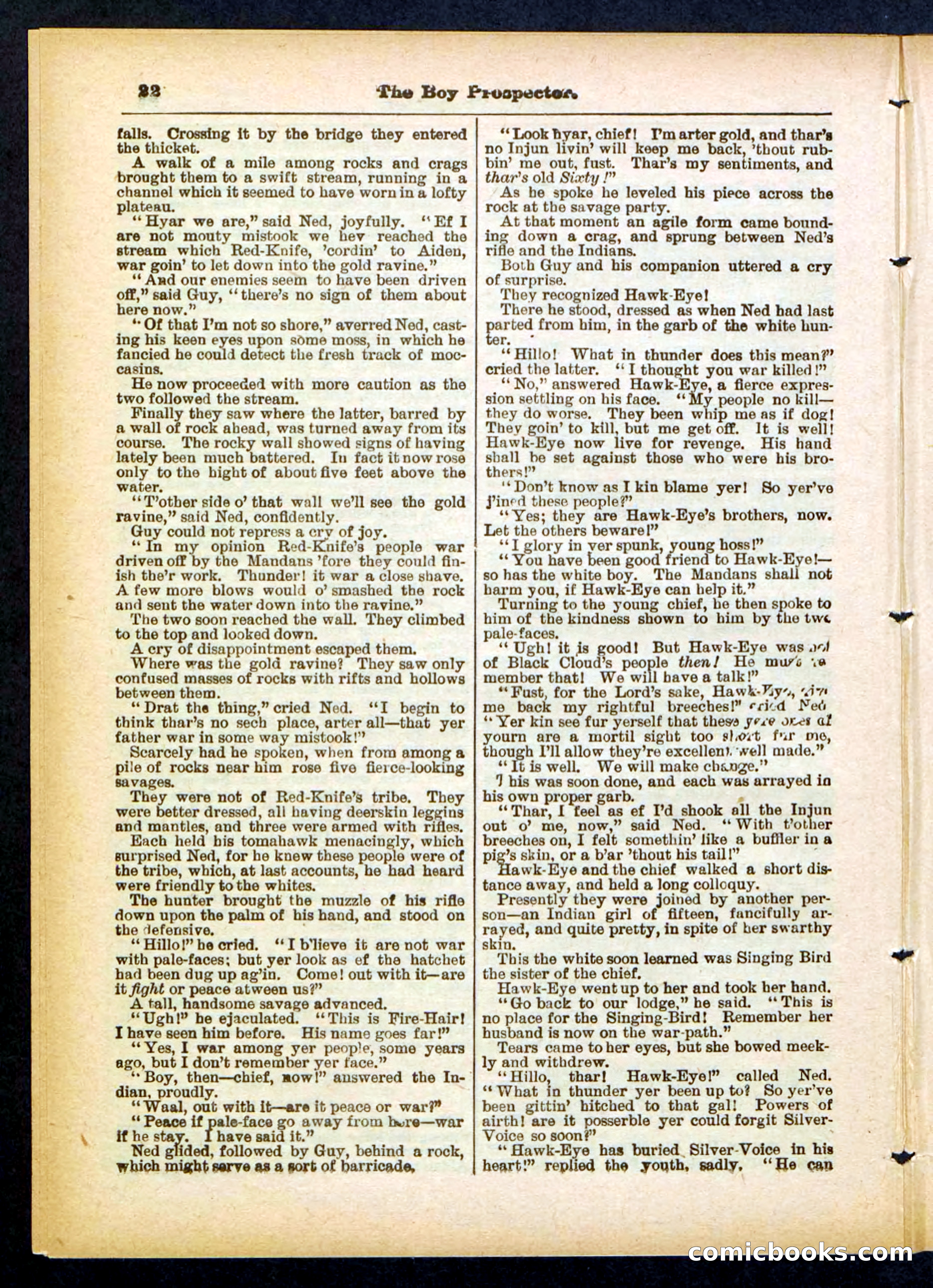 Beadle's Pocket Library No. 419 — page 22 of 32