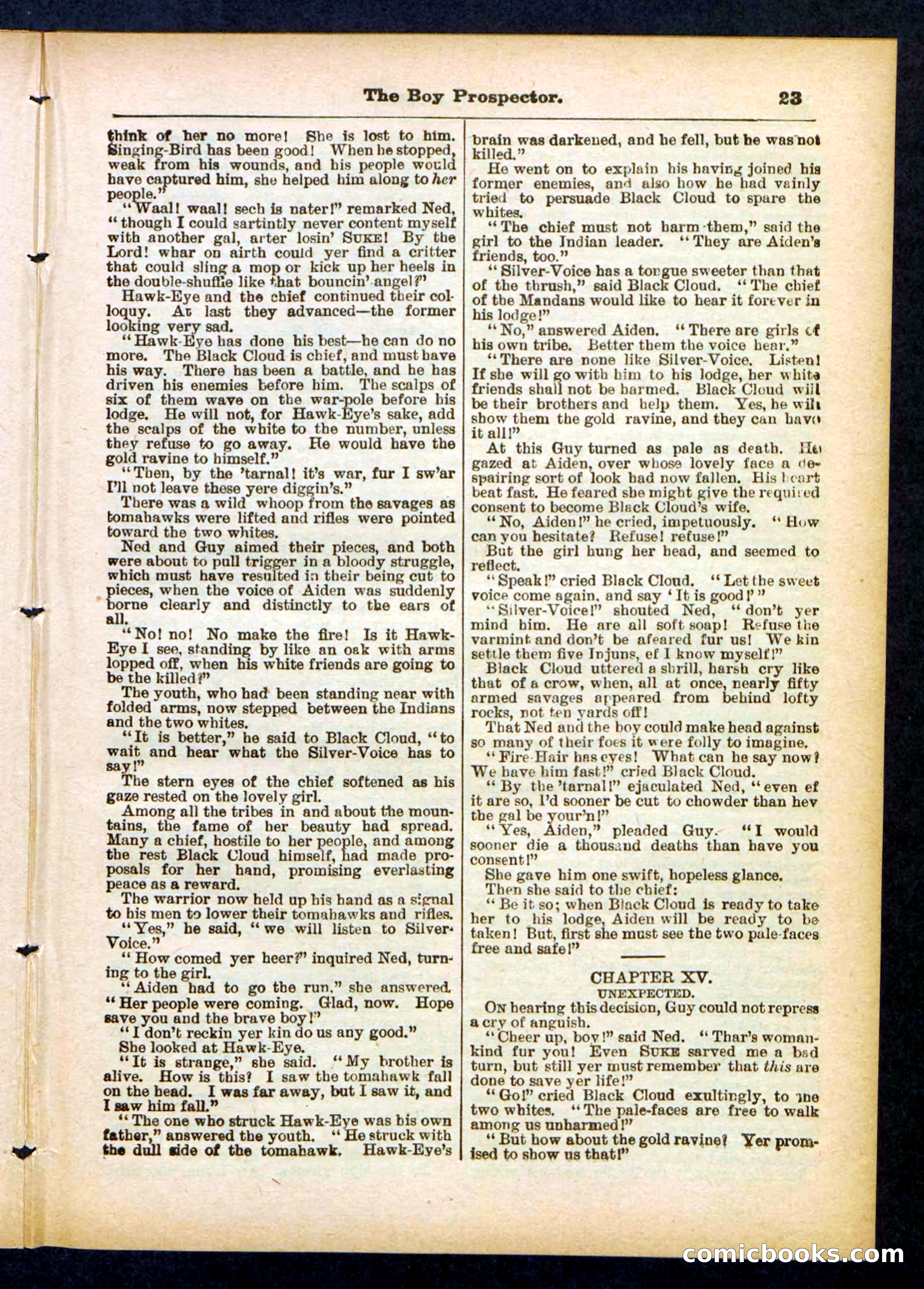 Beadle's Pocket Library No. 419 — page 23 of 32