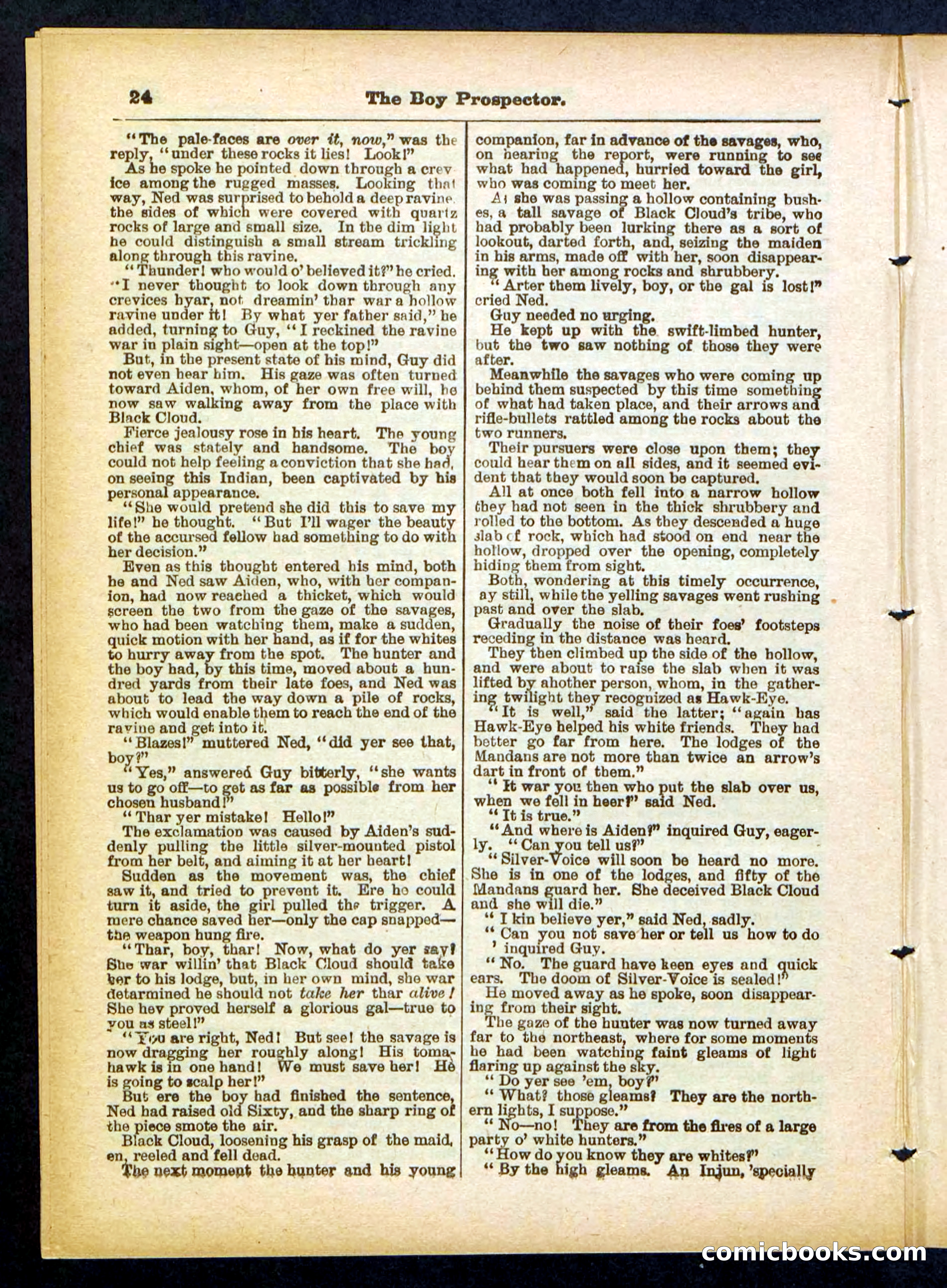 Beadle's Pocket Library No. 419 — page 24 of 32