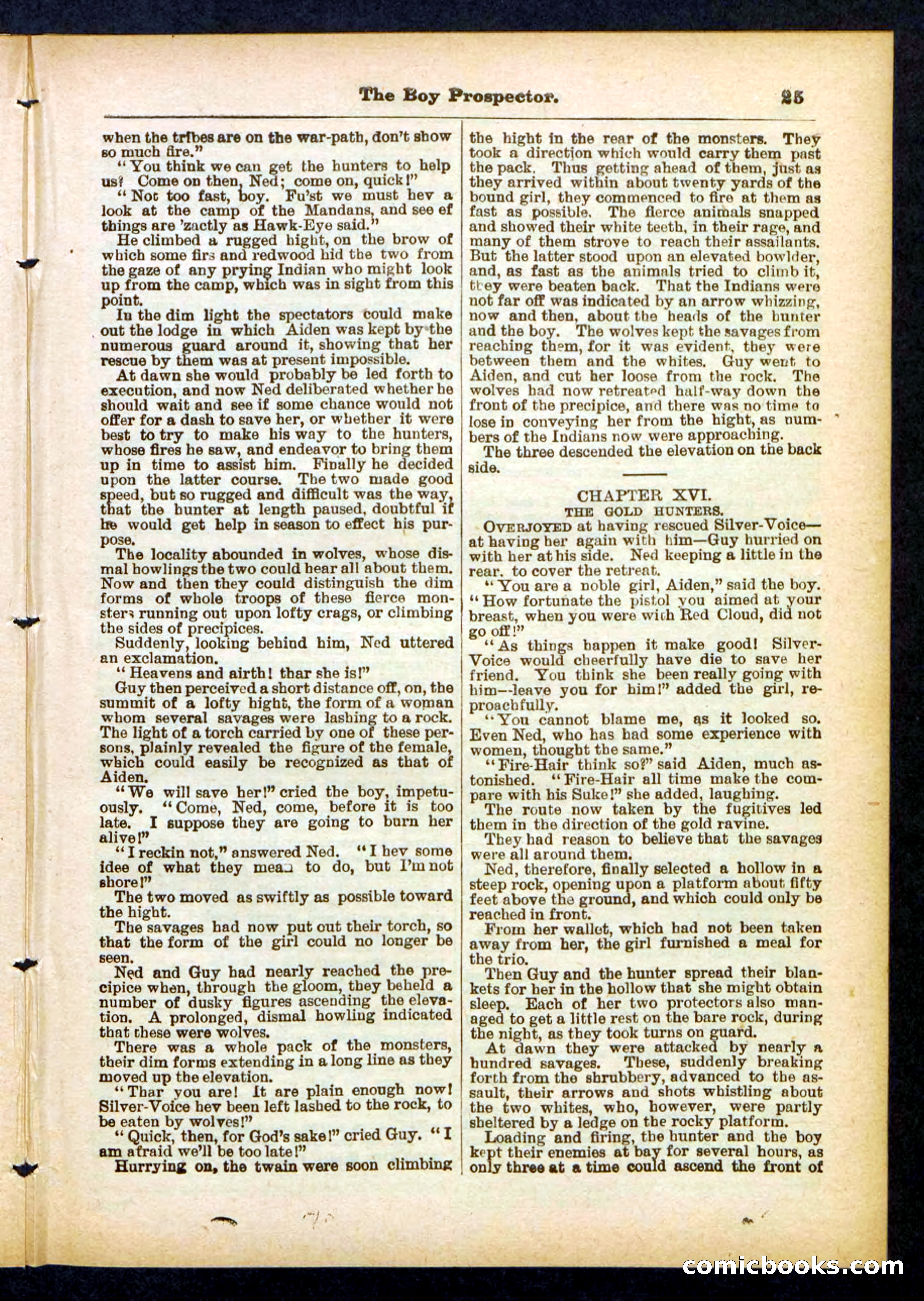 Beadle's Pocket Library No. 419 — page 25 of 32