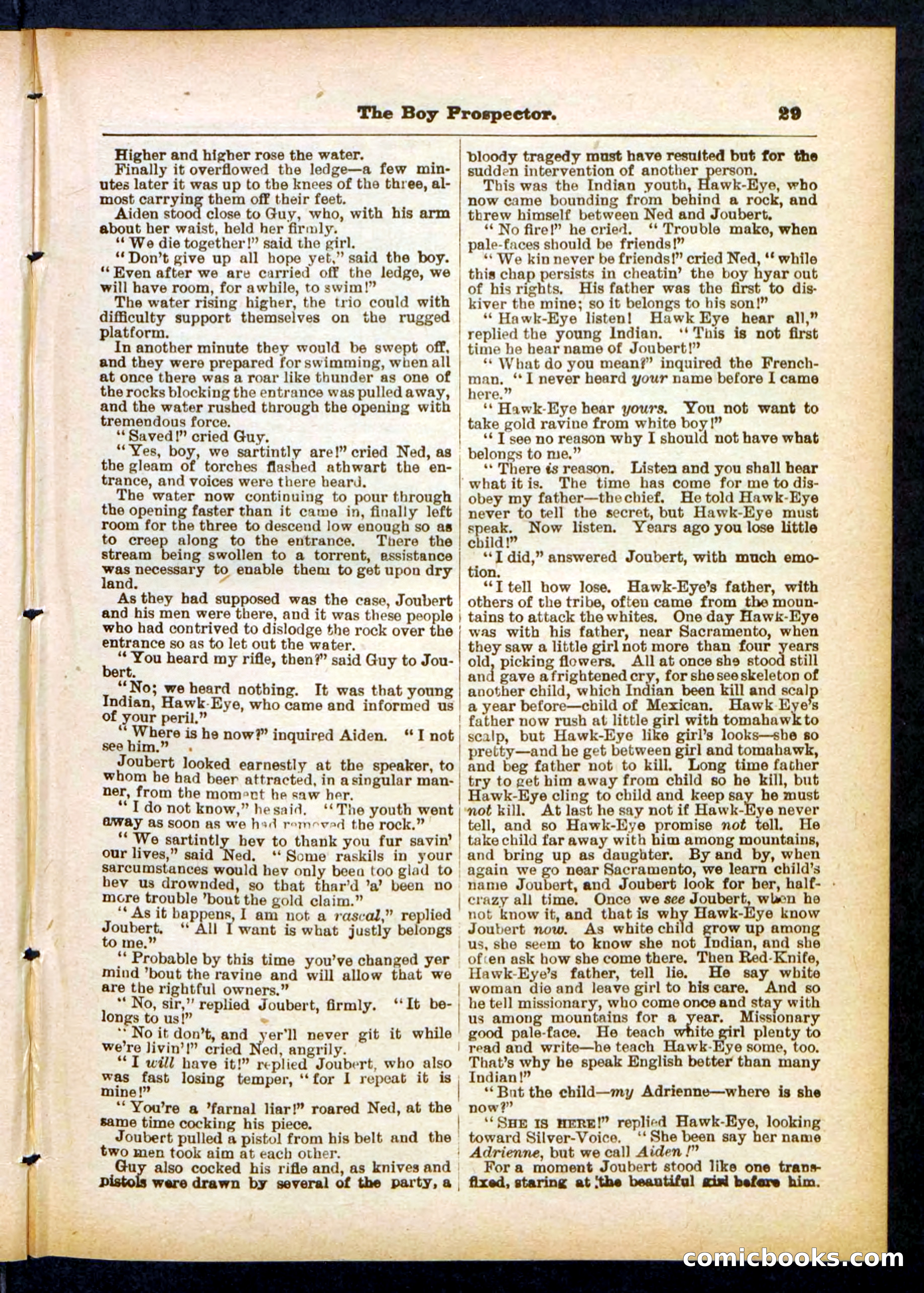Beadle's Pocket Library No. 419 — page 29 of 32