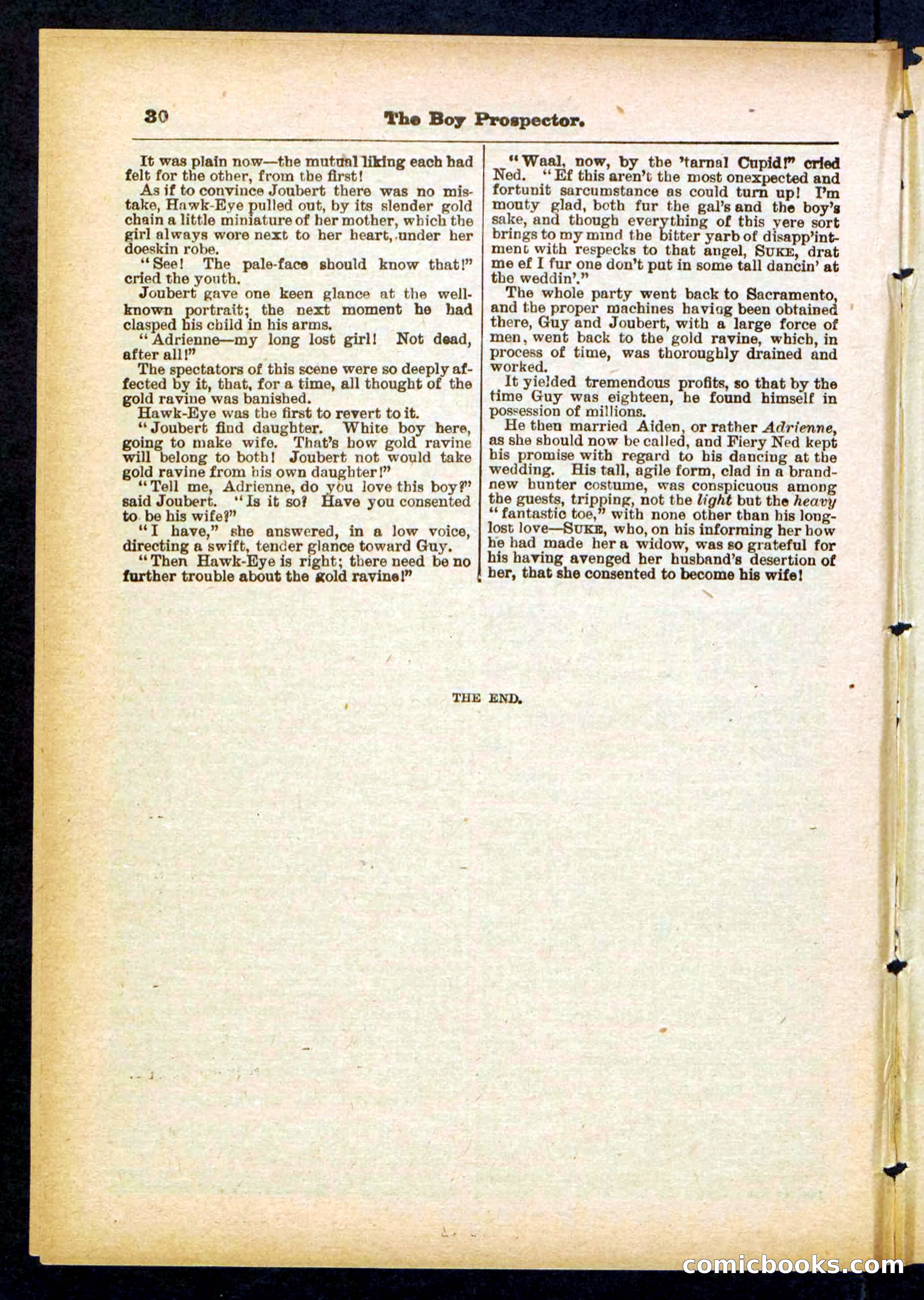 Beadle's Pocket Library No. 419 — page 30 of 32