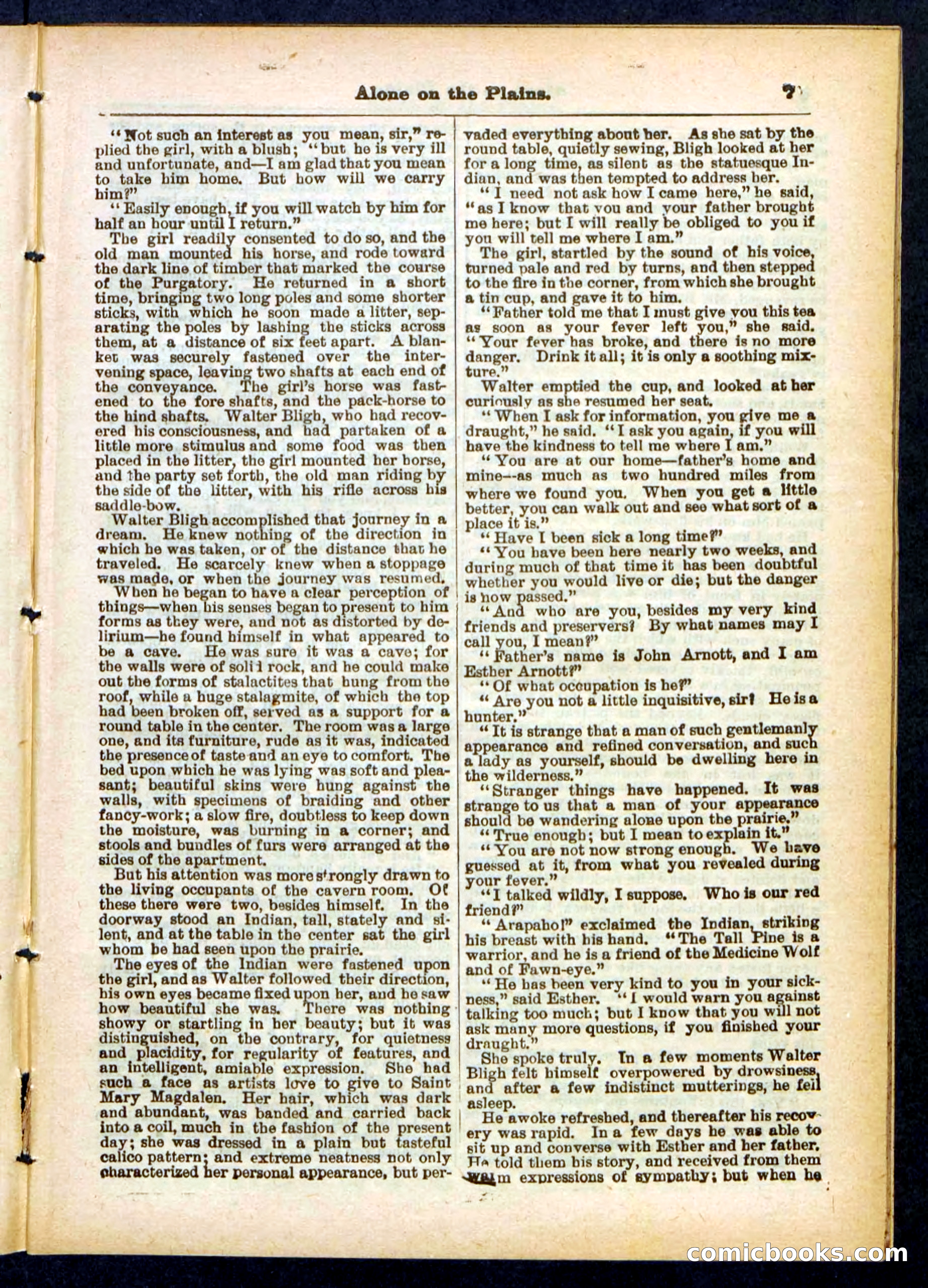 Beadle's Pocket Library No. 429 — page 7 of 32