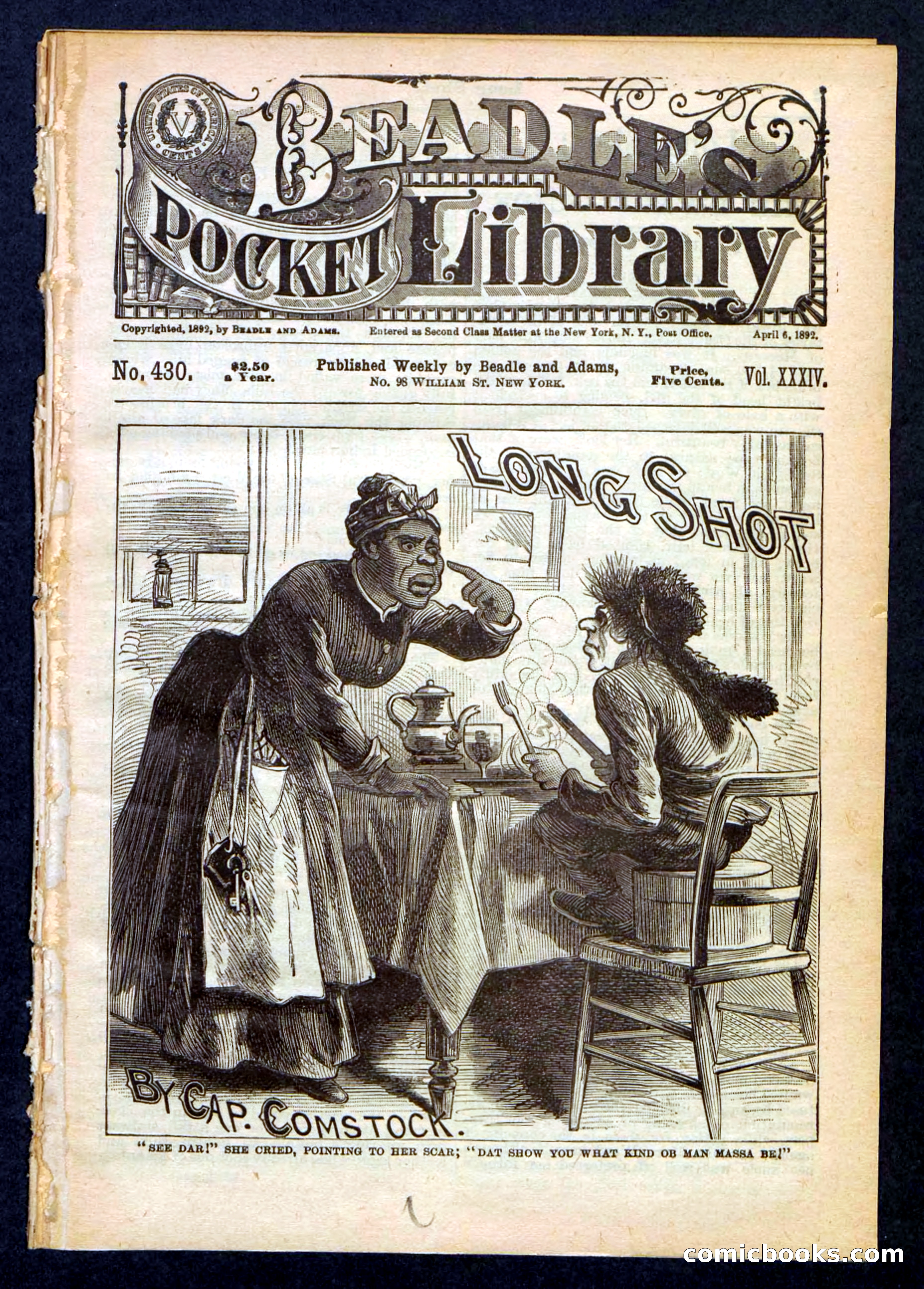 Beadle's Pocket Library No. 430
