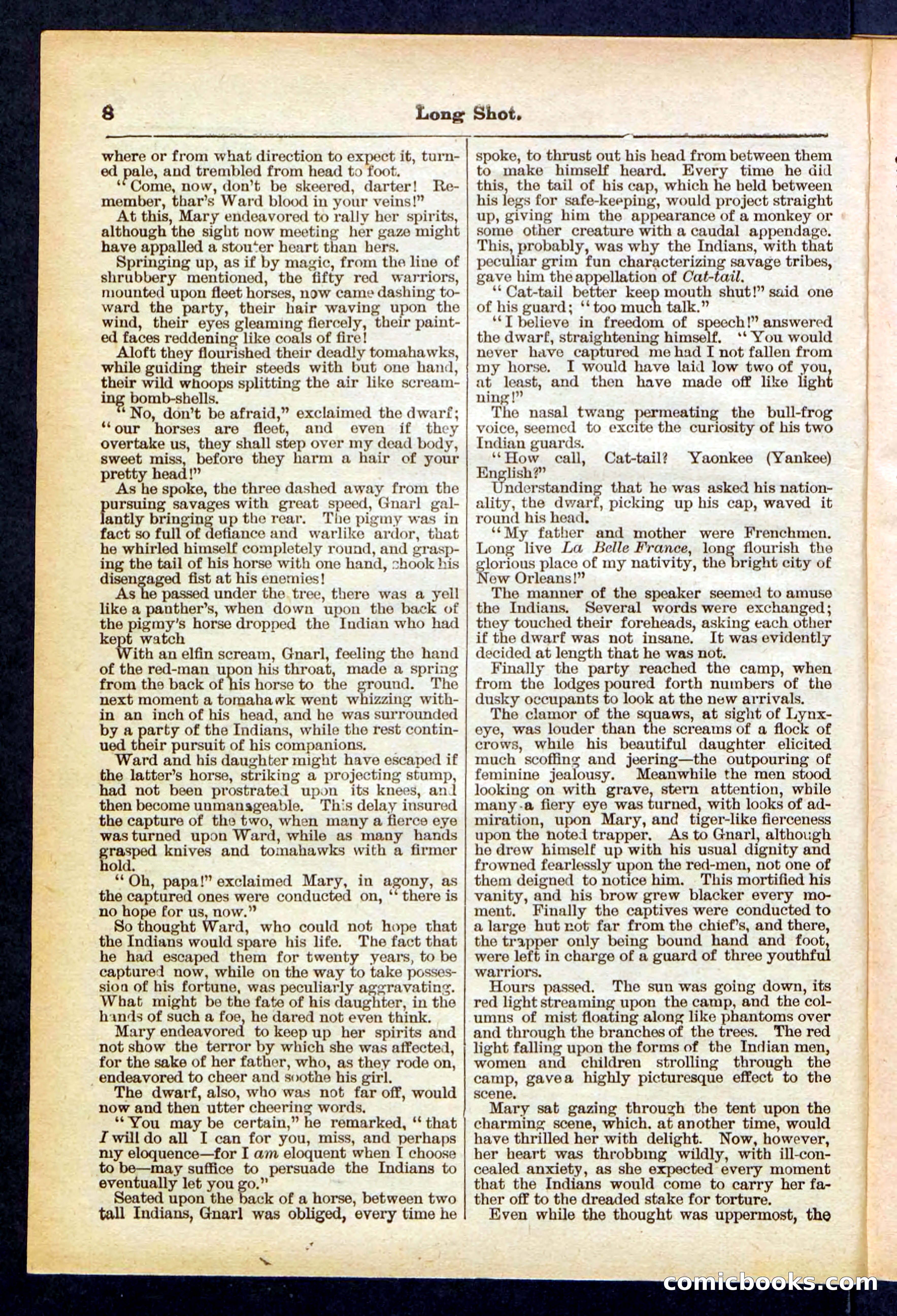 Beadle's Pocket Library No. 430 — page 8 of 32