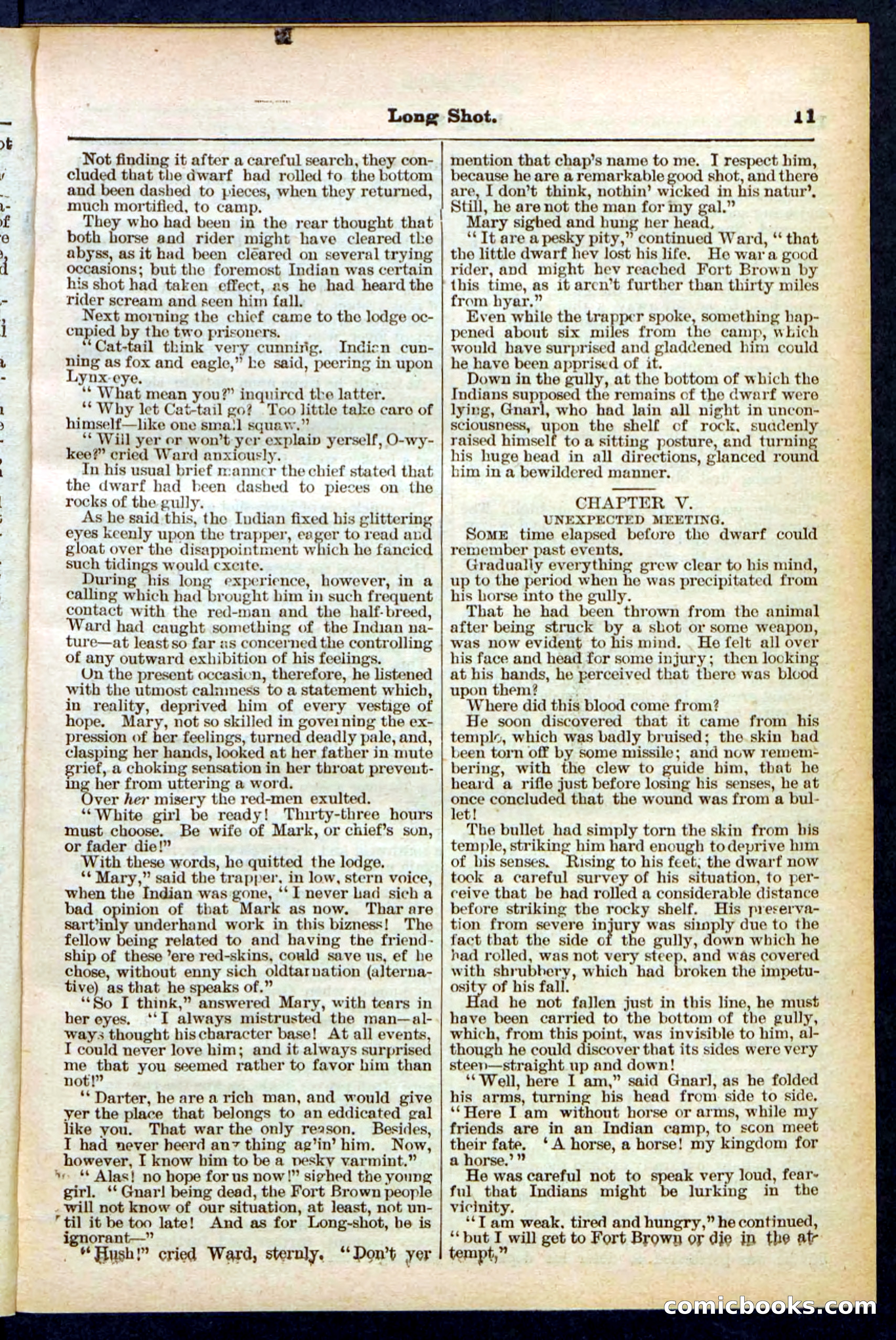 Beadle's Pocket Library No. 430 — page 11 of 32