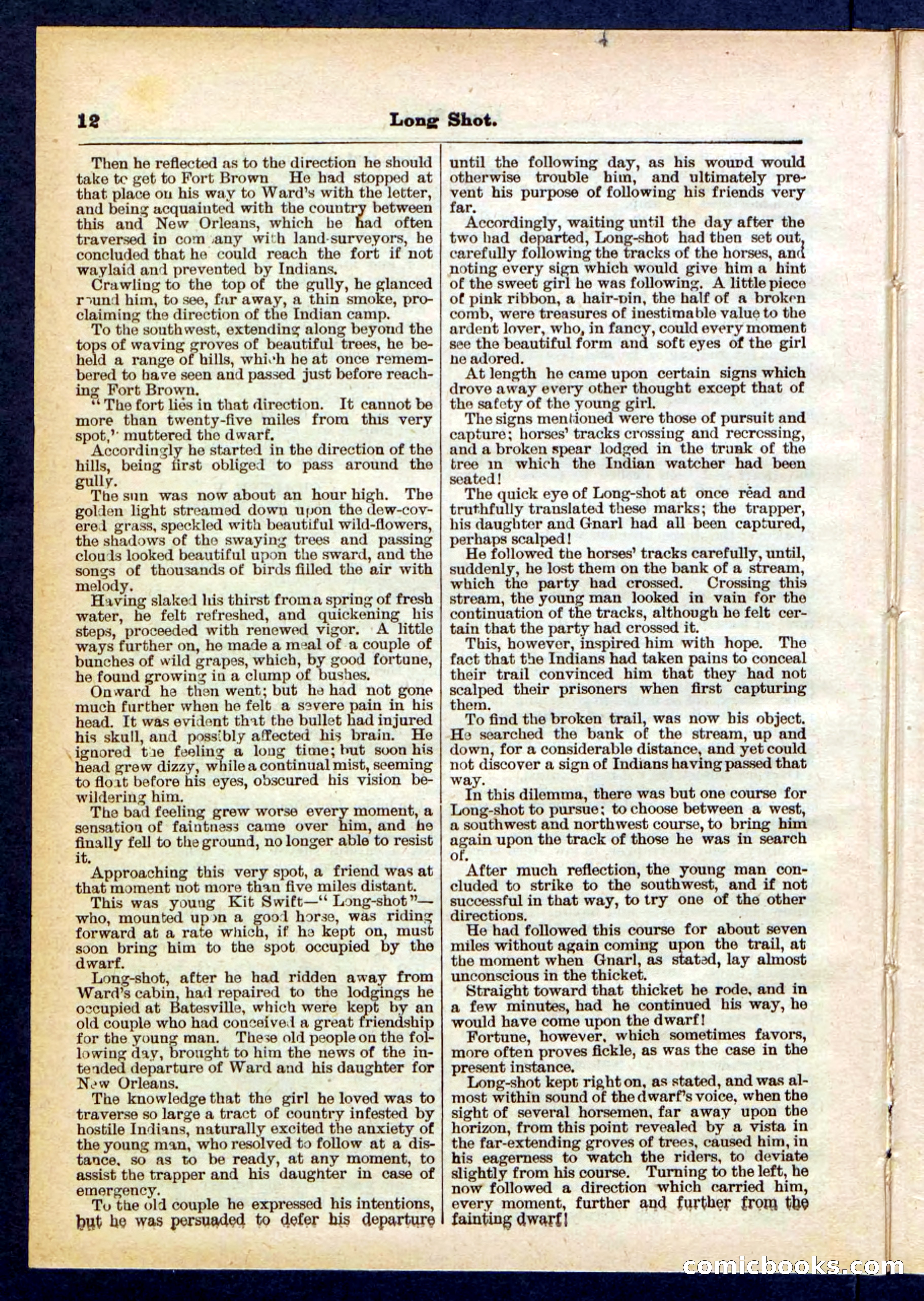 Beadle's Pocket Library No. 430 — page 12 of 32