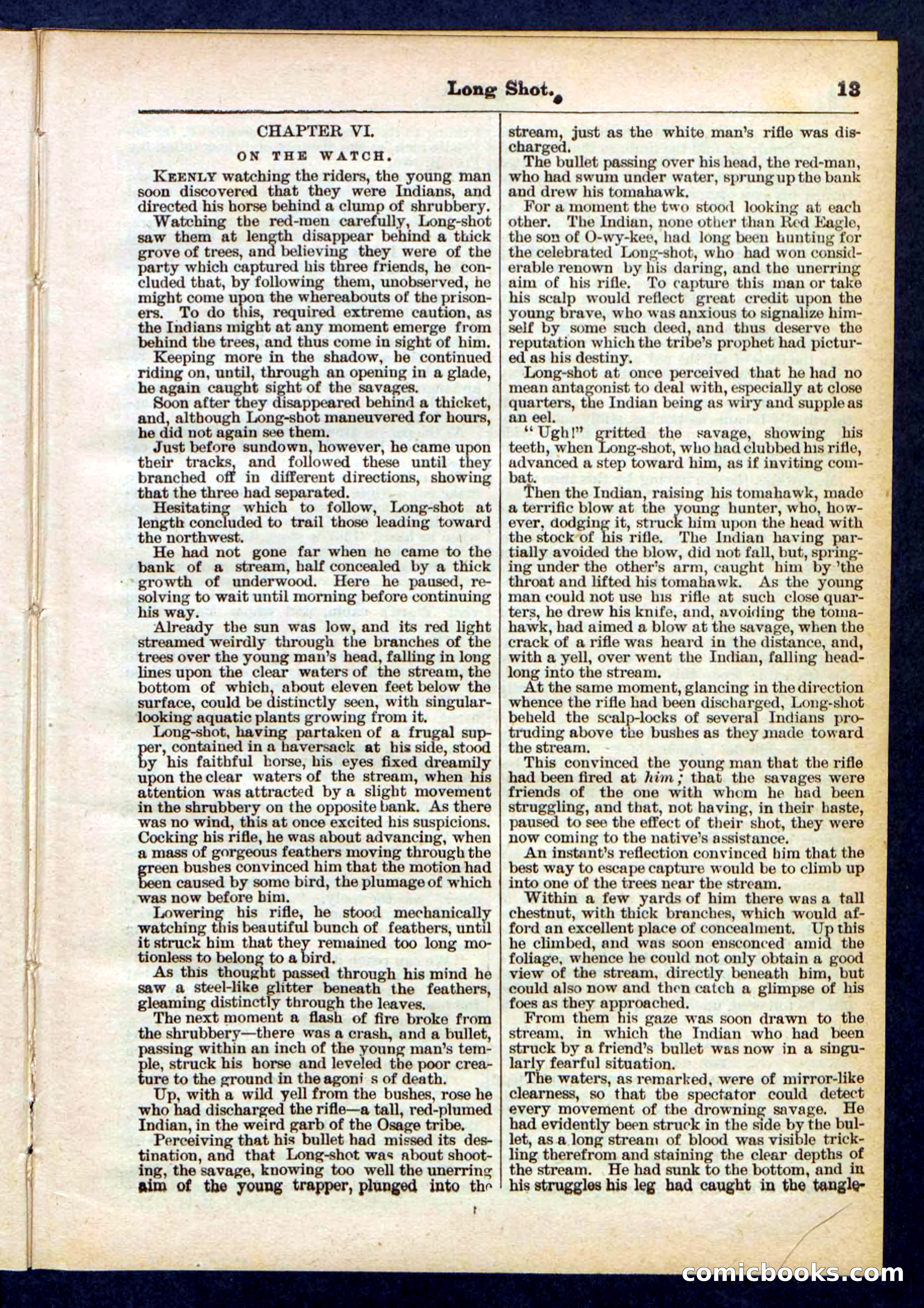 Beadle's Pocket Library No. 430 — page 13 of 32