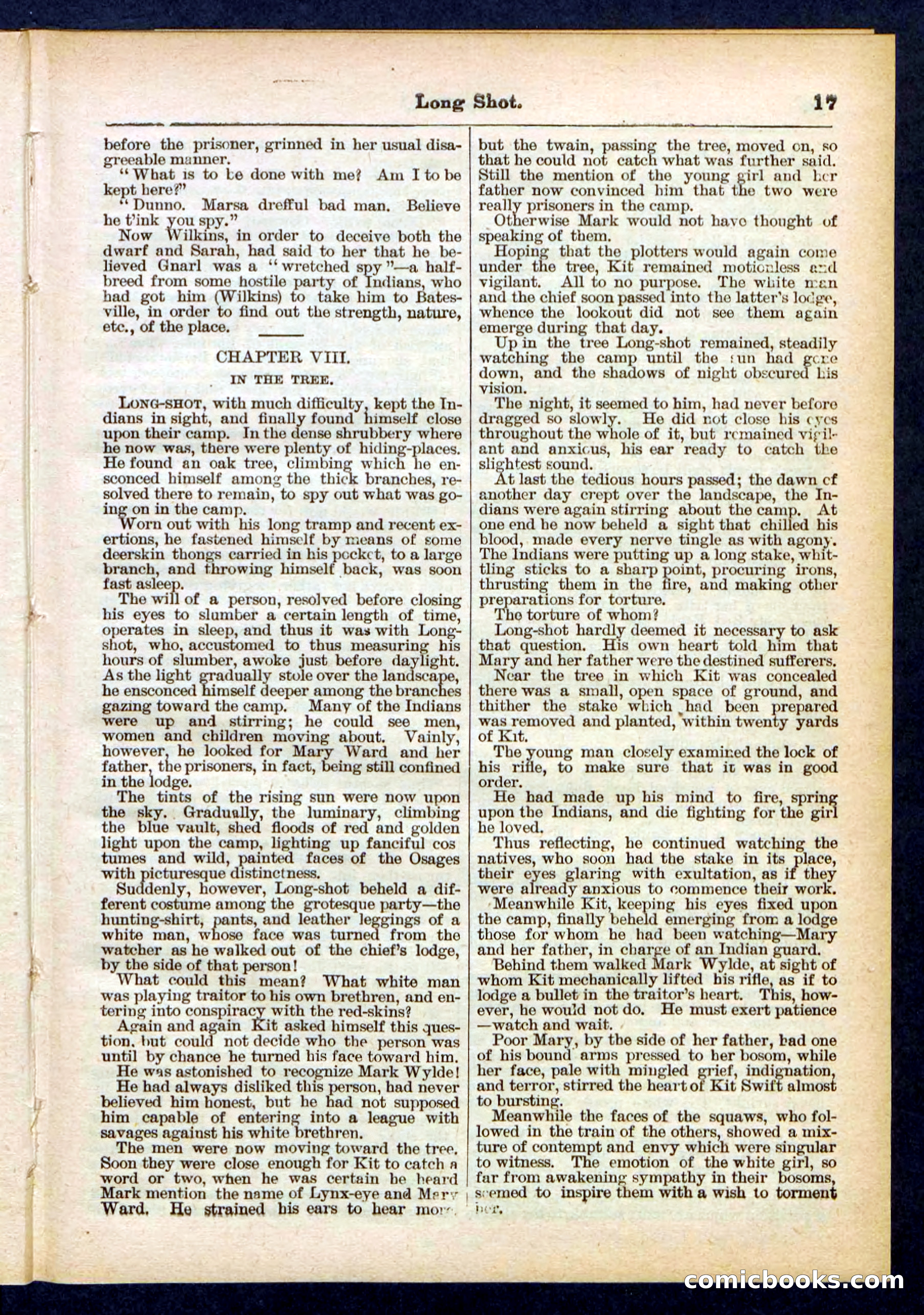 Beadle's Pocket Library No. 430 — page 17 of 32