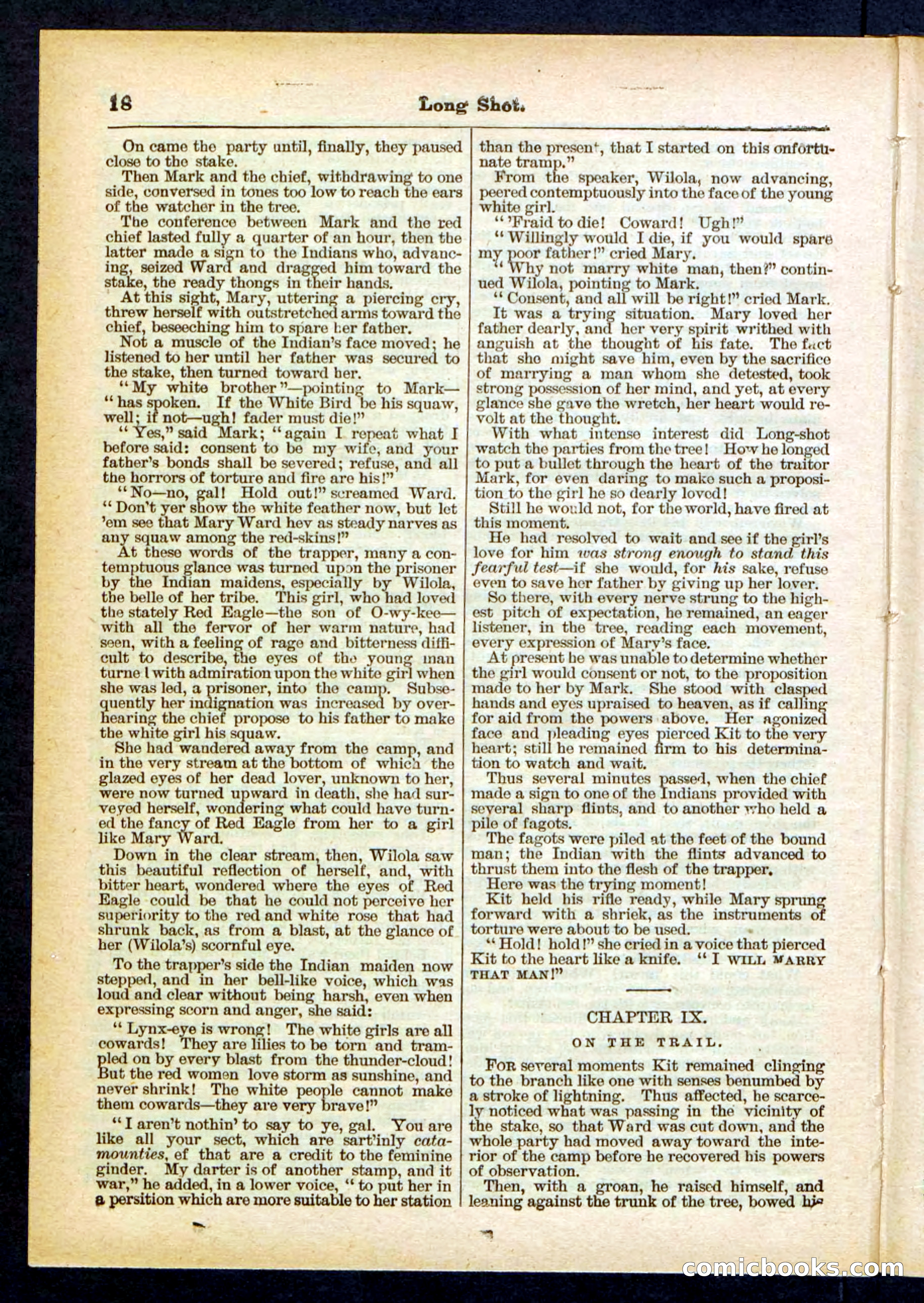 Beadle's Pocket Library No. 430 — page 18 of 32
