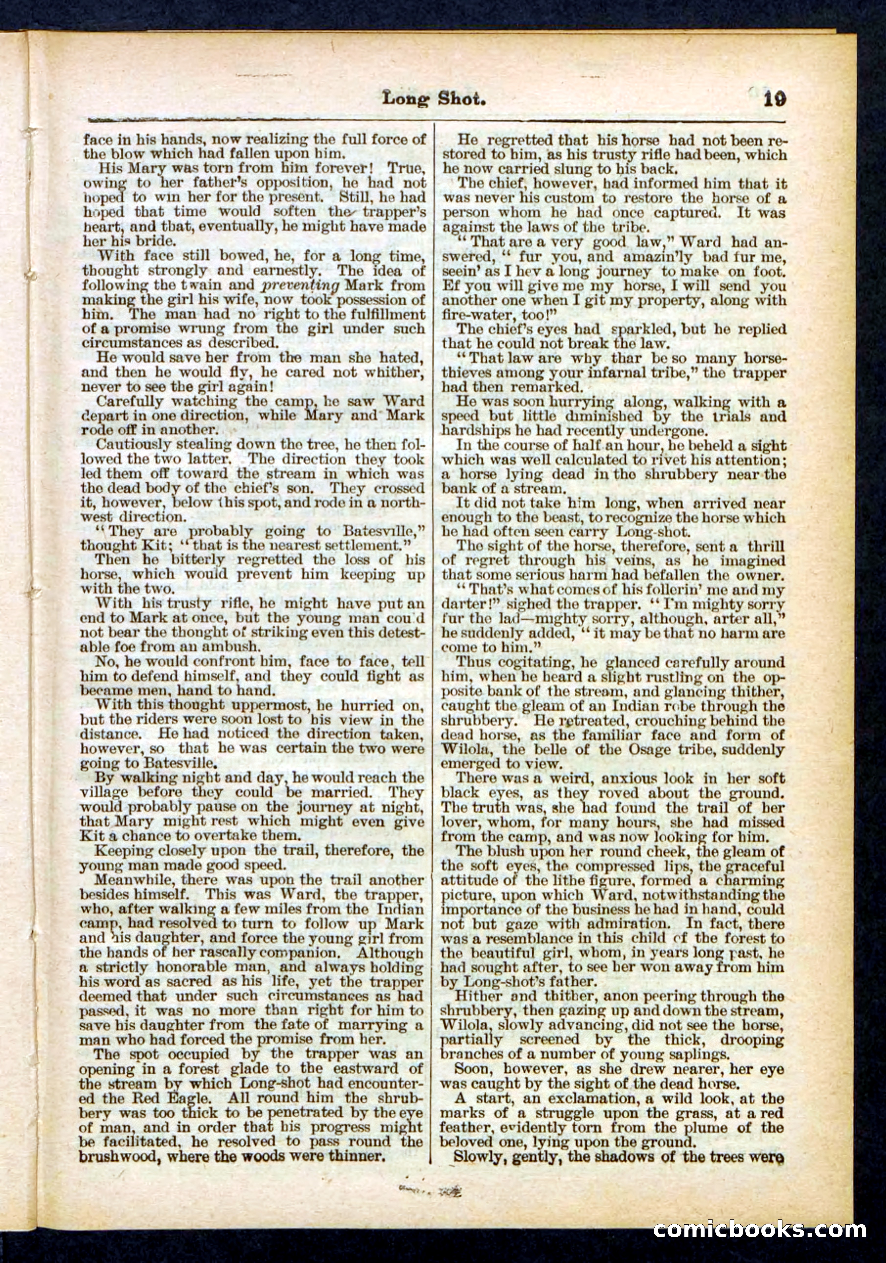 Beadle's Pocket Library No. 430 — page 19 of 32