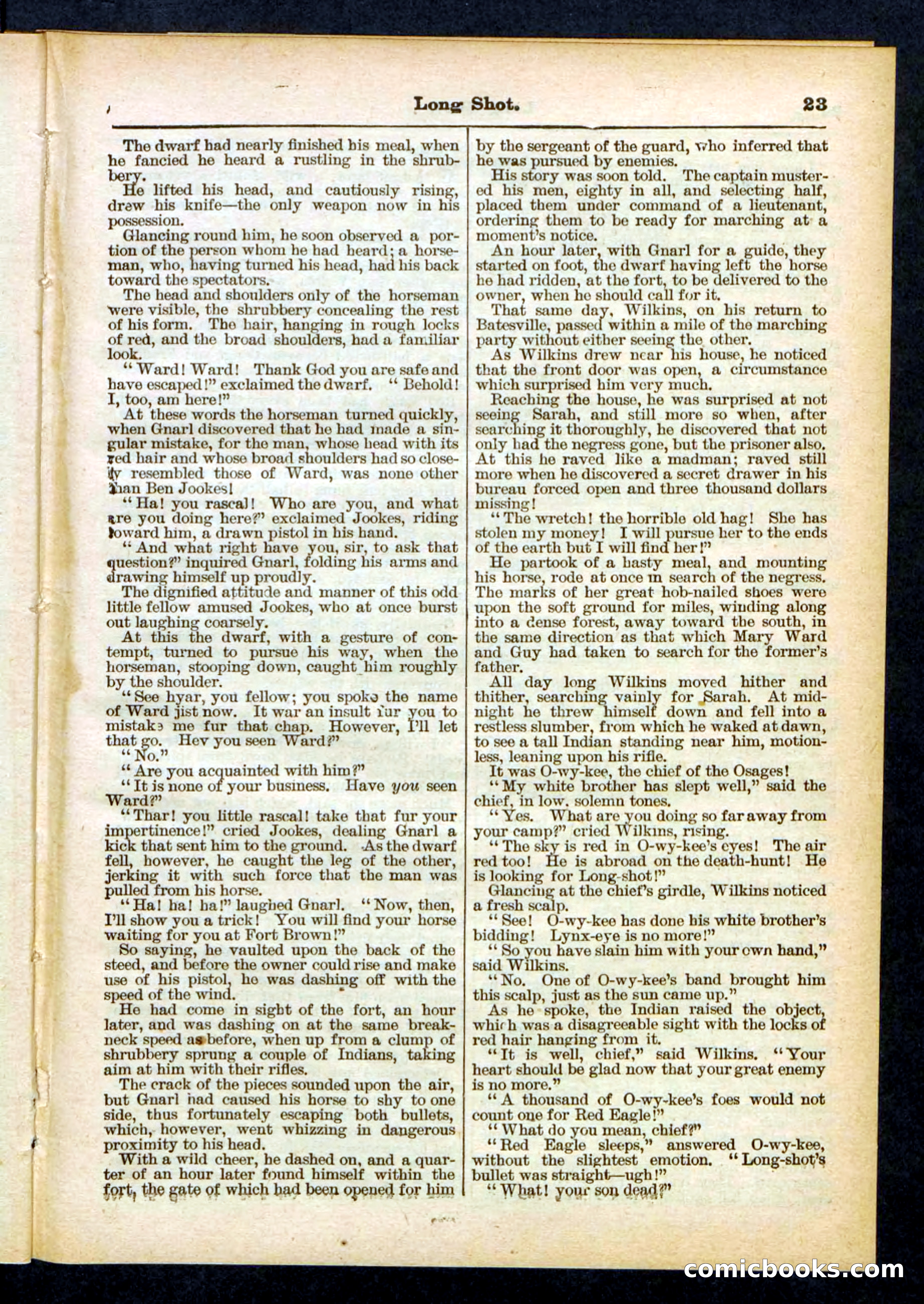 Beadle's Pocket Library No. 430 — page 23 of 32