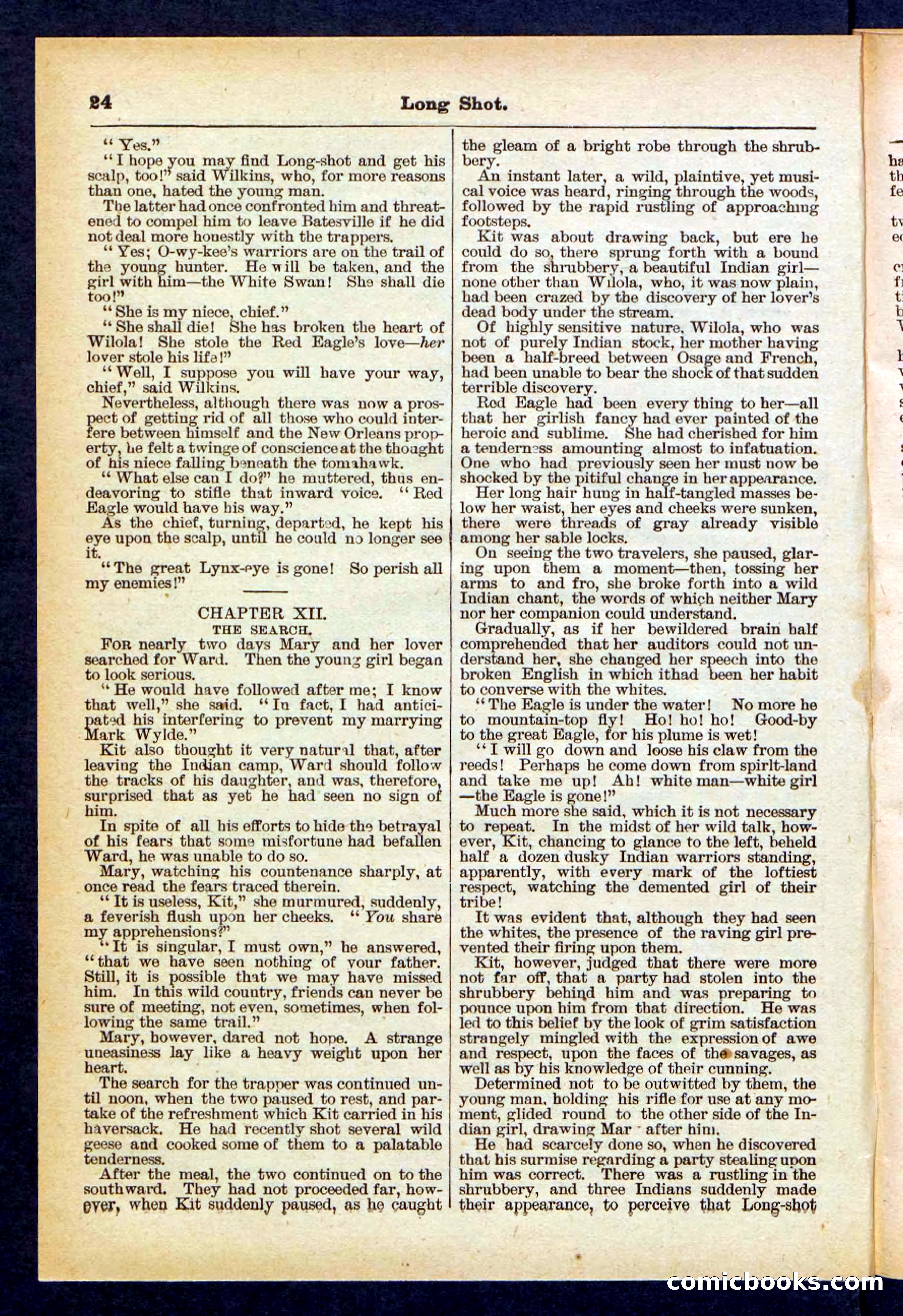 Beadle's Pocket Library No. 430 — page 24 of 32
