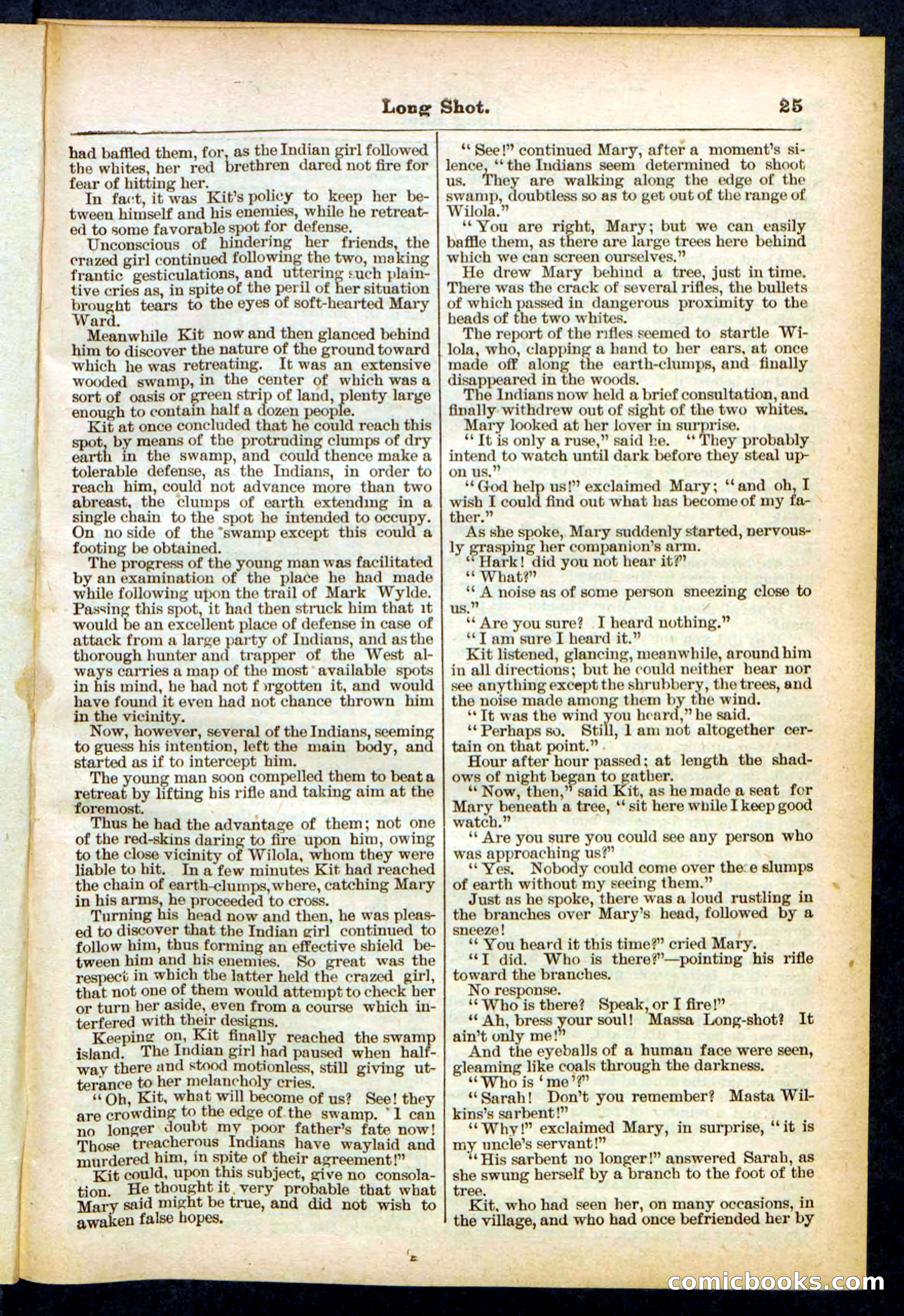 Beadle's Pocket Library No. 430 — page 25 of 32