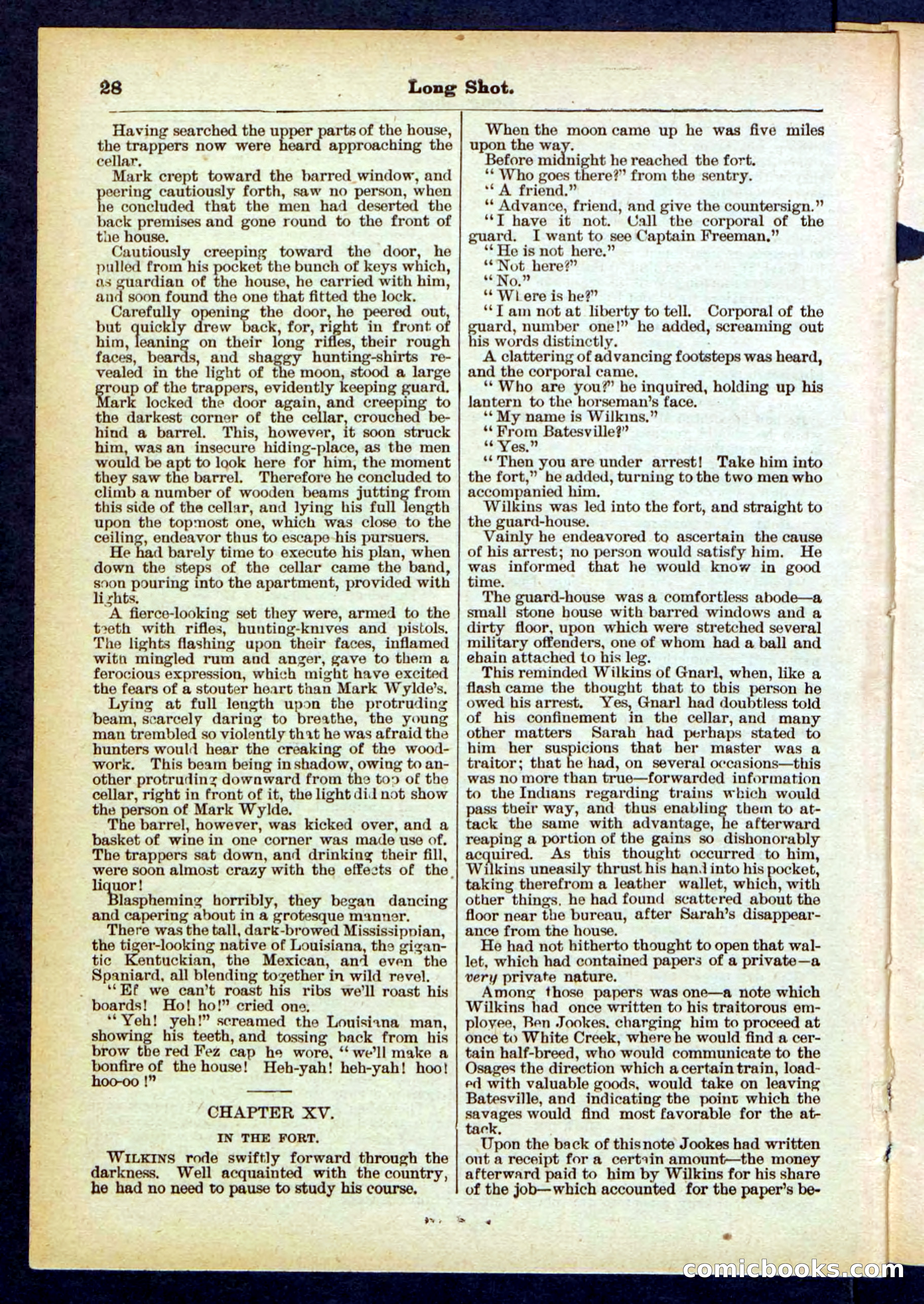 Beadle's Pocket Library No. 430 — page 28 of 32