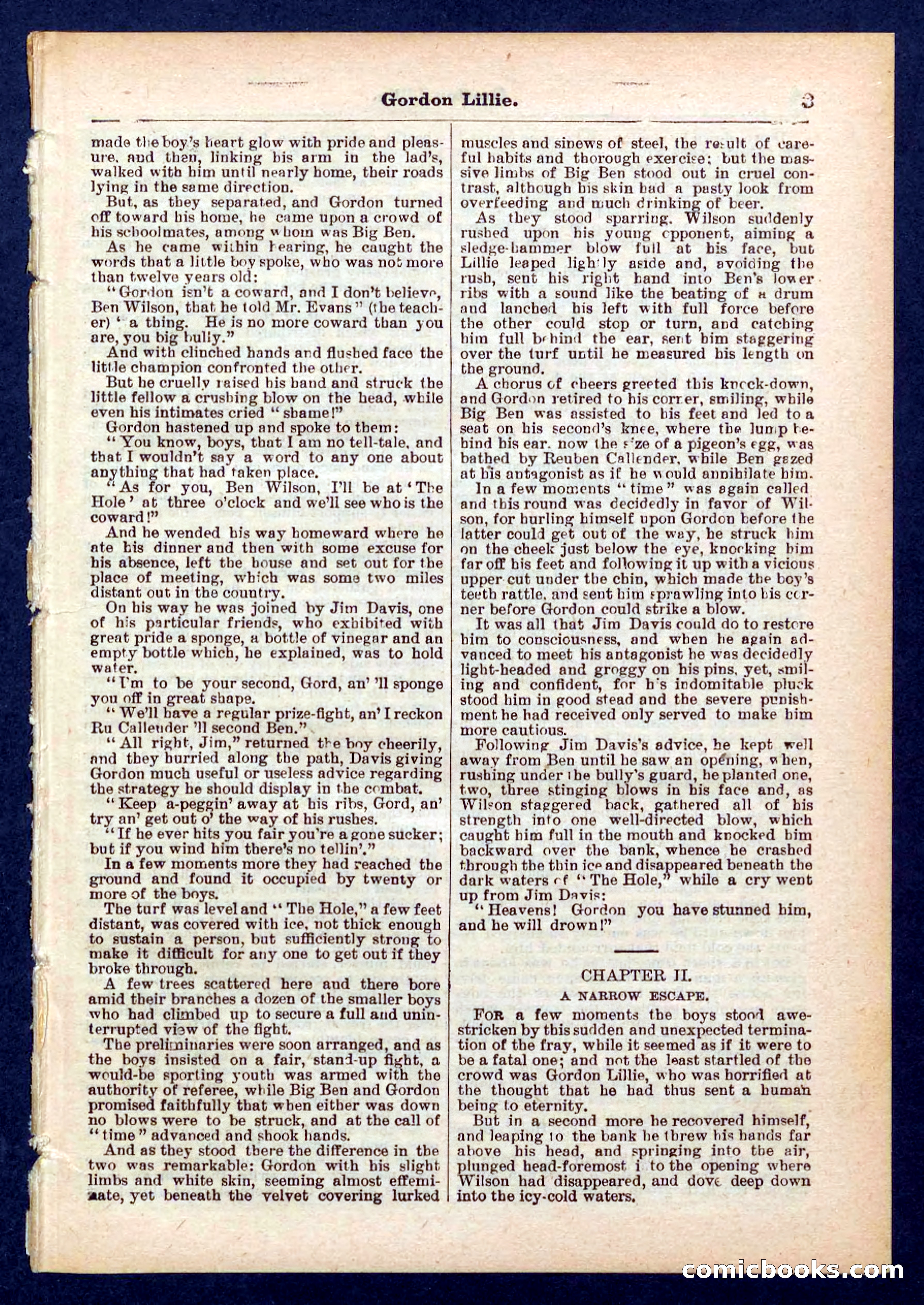 Beadle's Pocket Library No. 431 — page 3 of 32