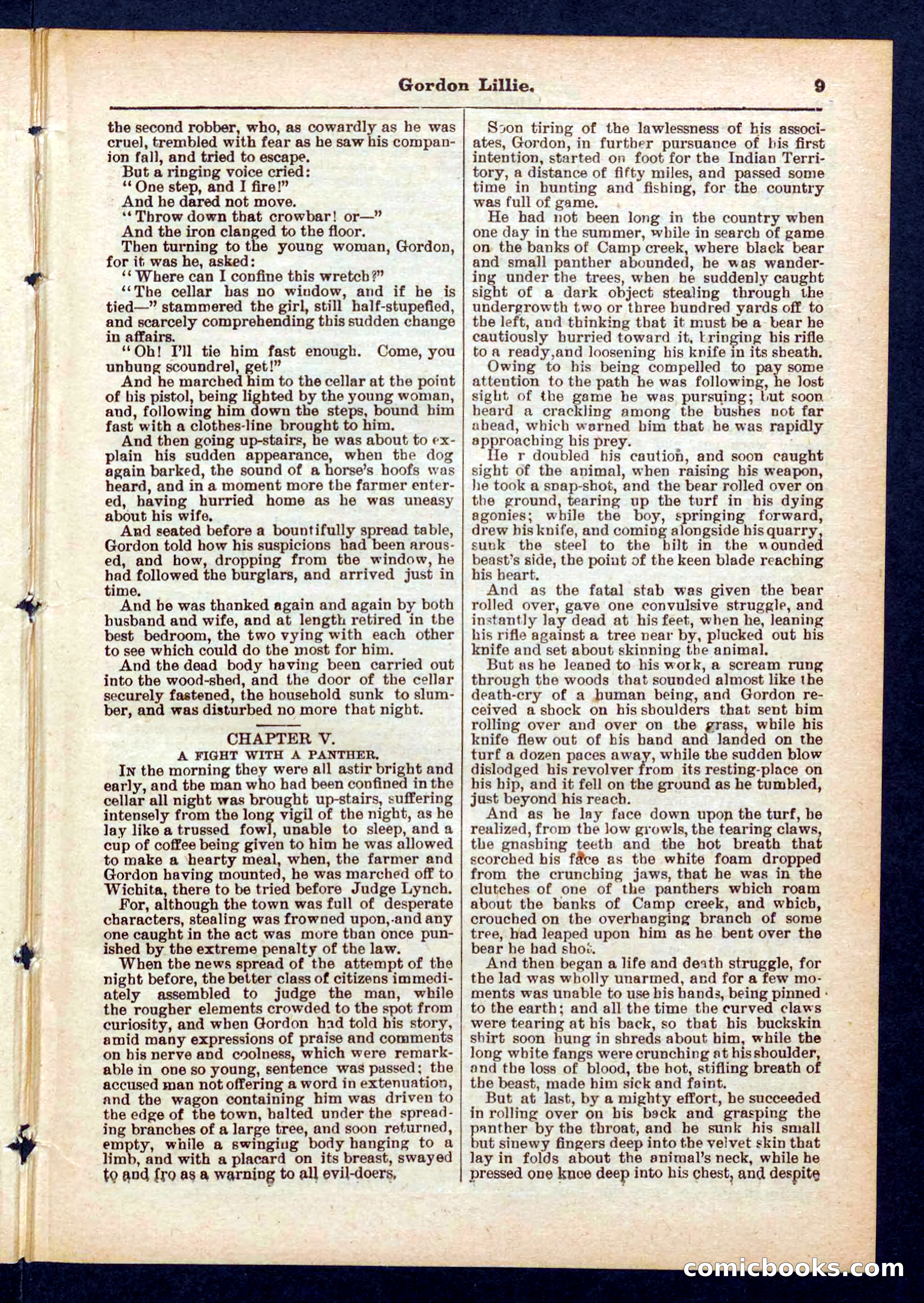 Beadle's Pocket Library No. 431 — page 9 of 32
