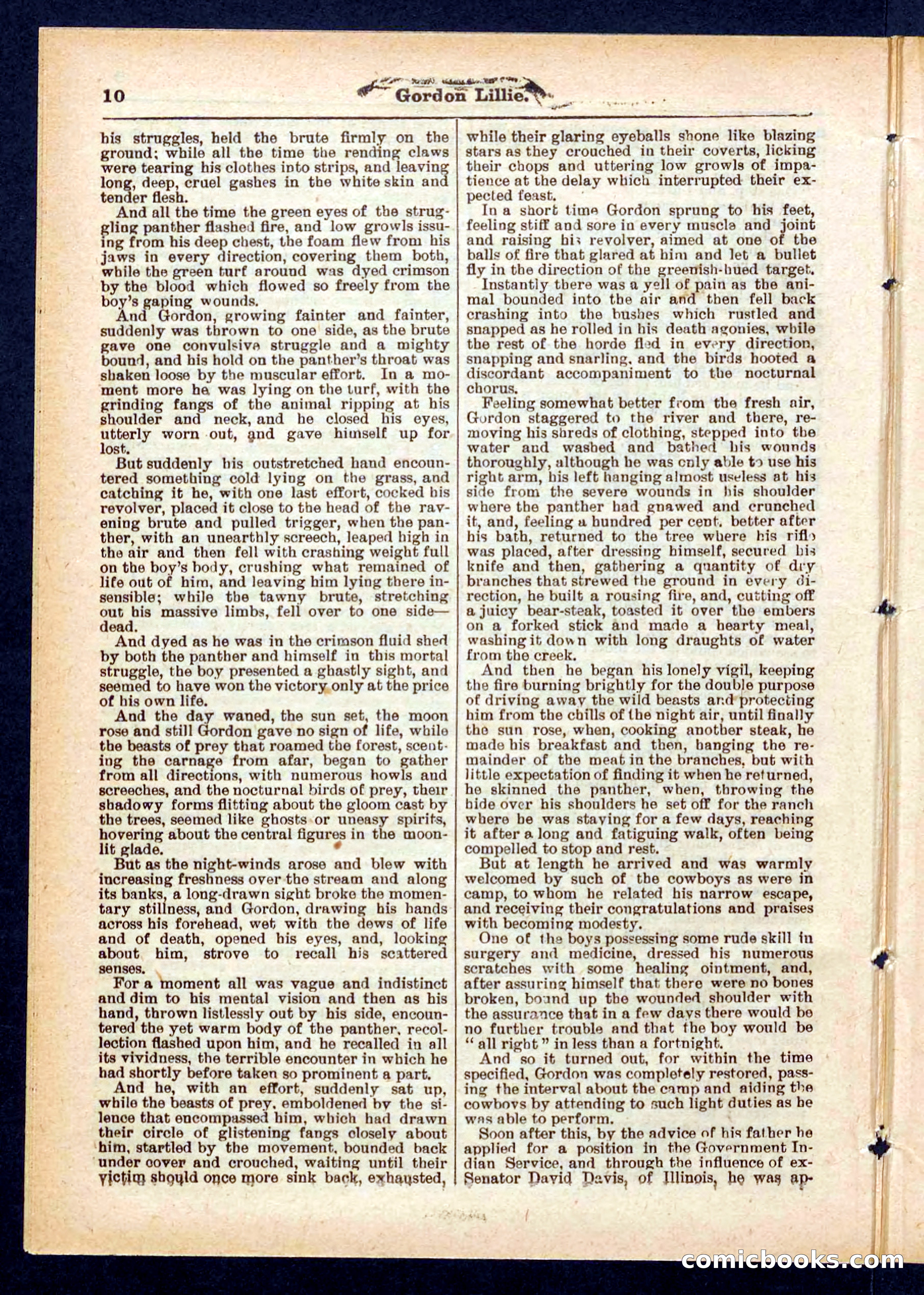 Beadle's Pocket Library No. 431 — page 10 of 32