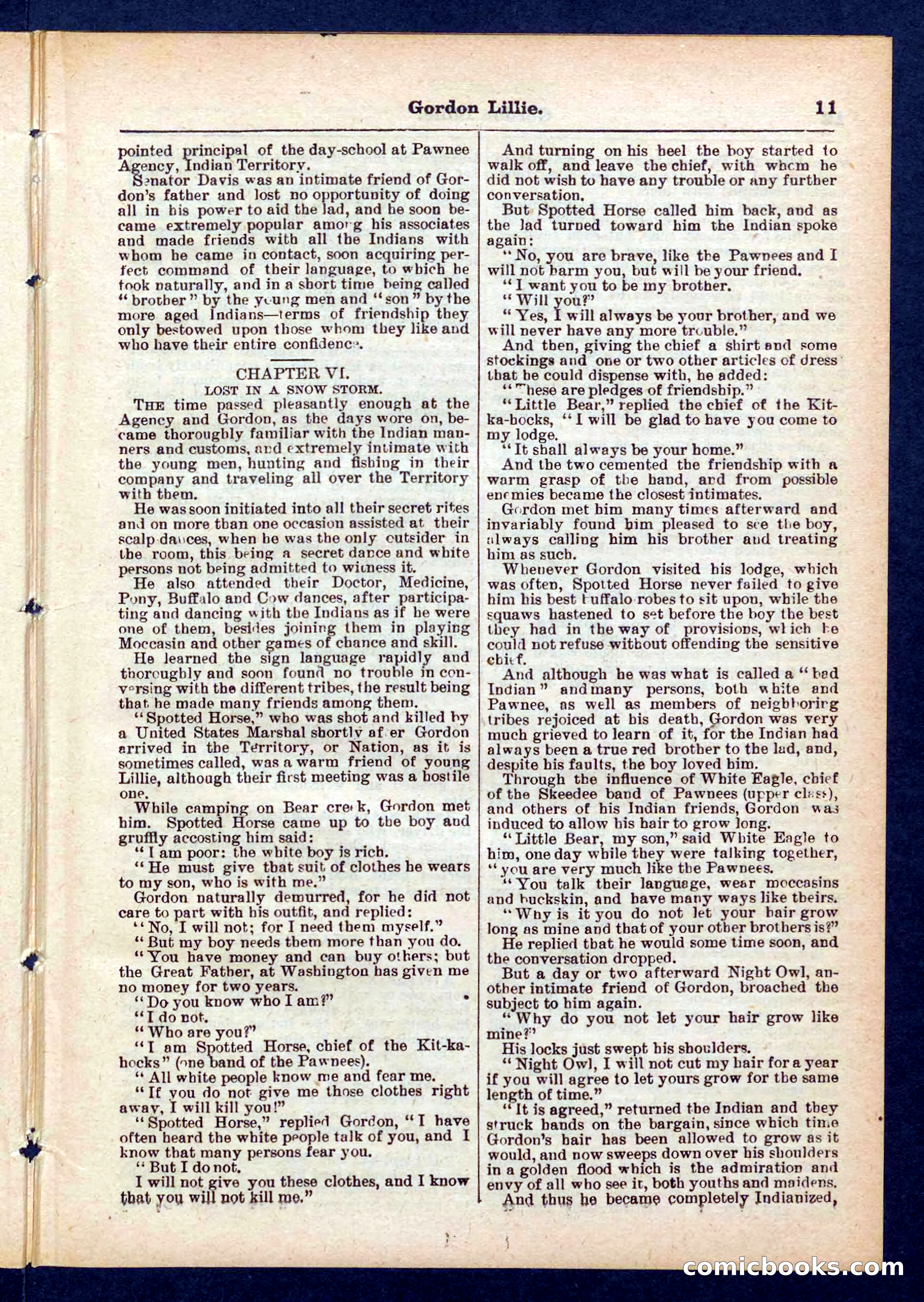 Beadle's Pocket Library No. 431 — page 11 of 32