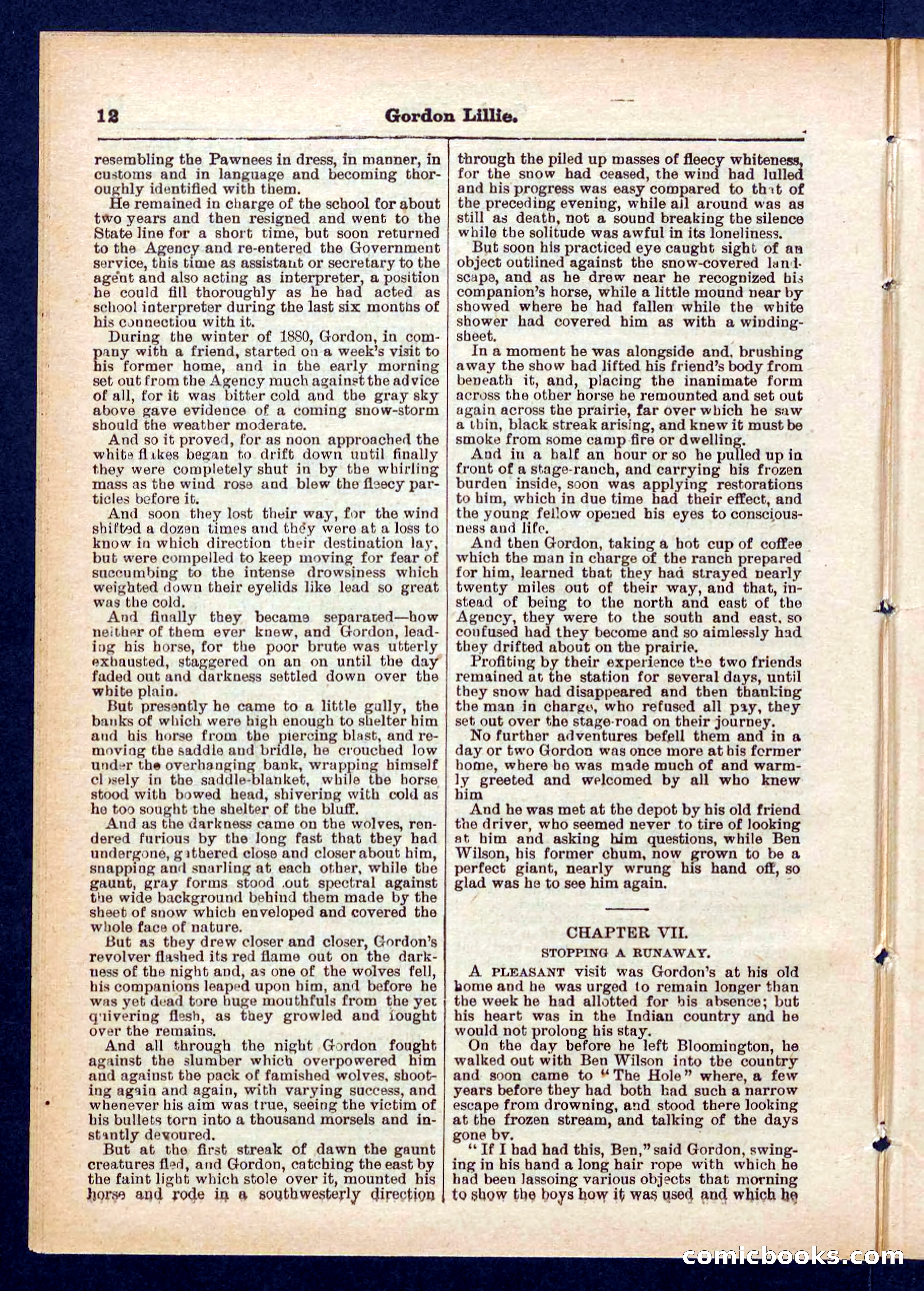 Beadle's Pocket Library No. 431 — page 12 of 32