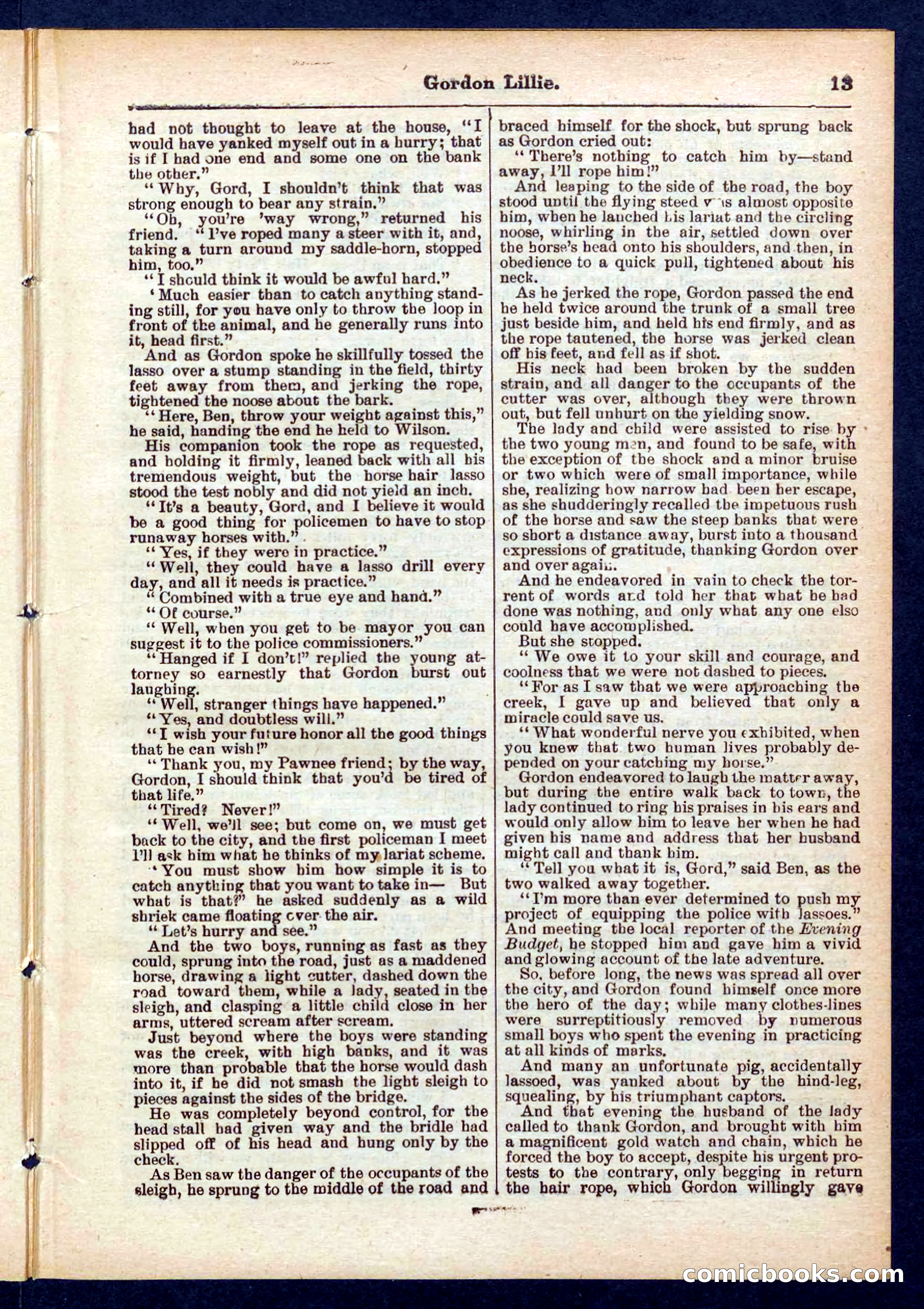 Beadle's Pocket Library No. 431 — page 13 of 32
