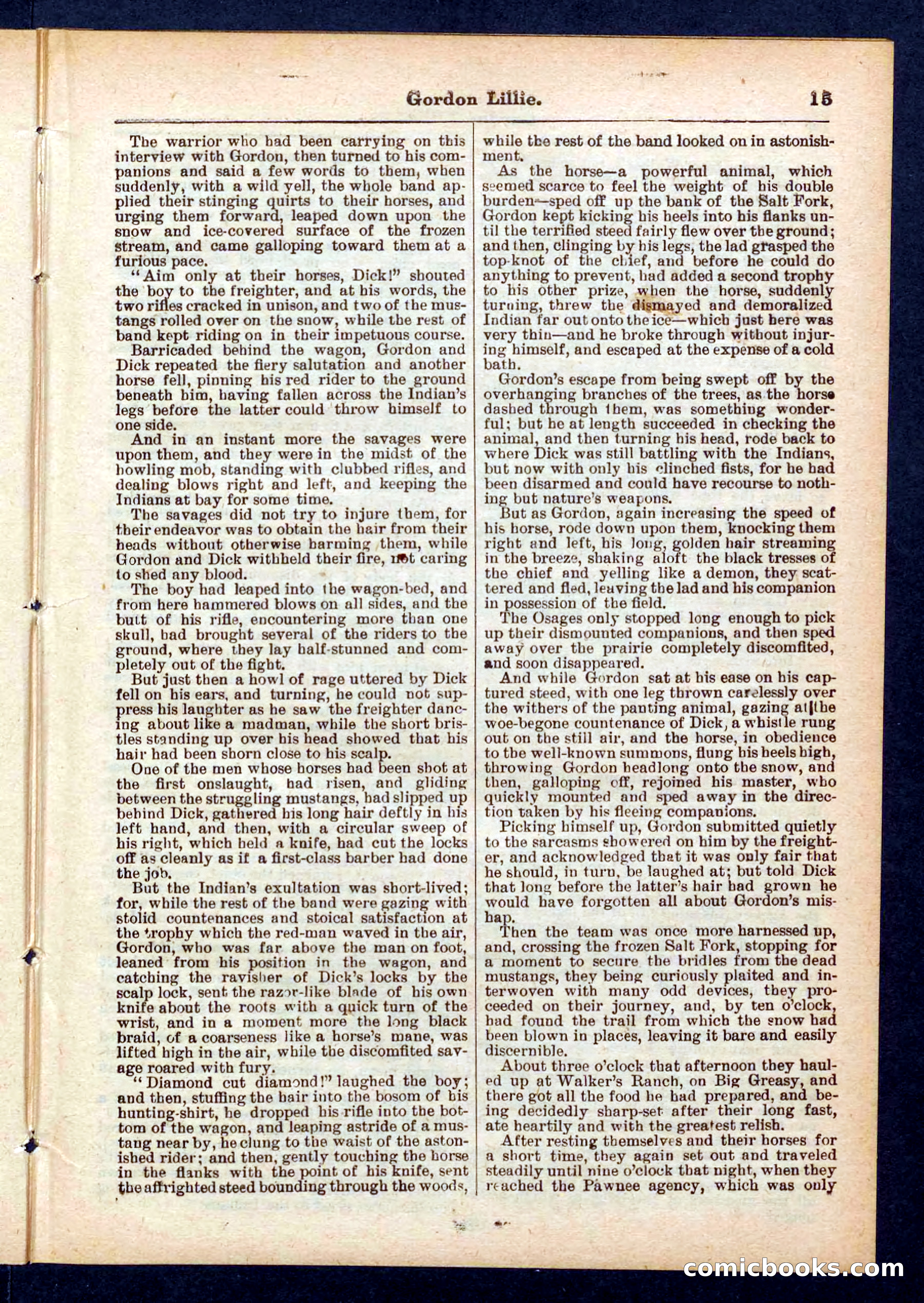 Beadle's Pocket Library No. 431 — page 15 of 32