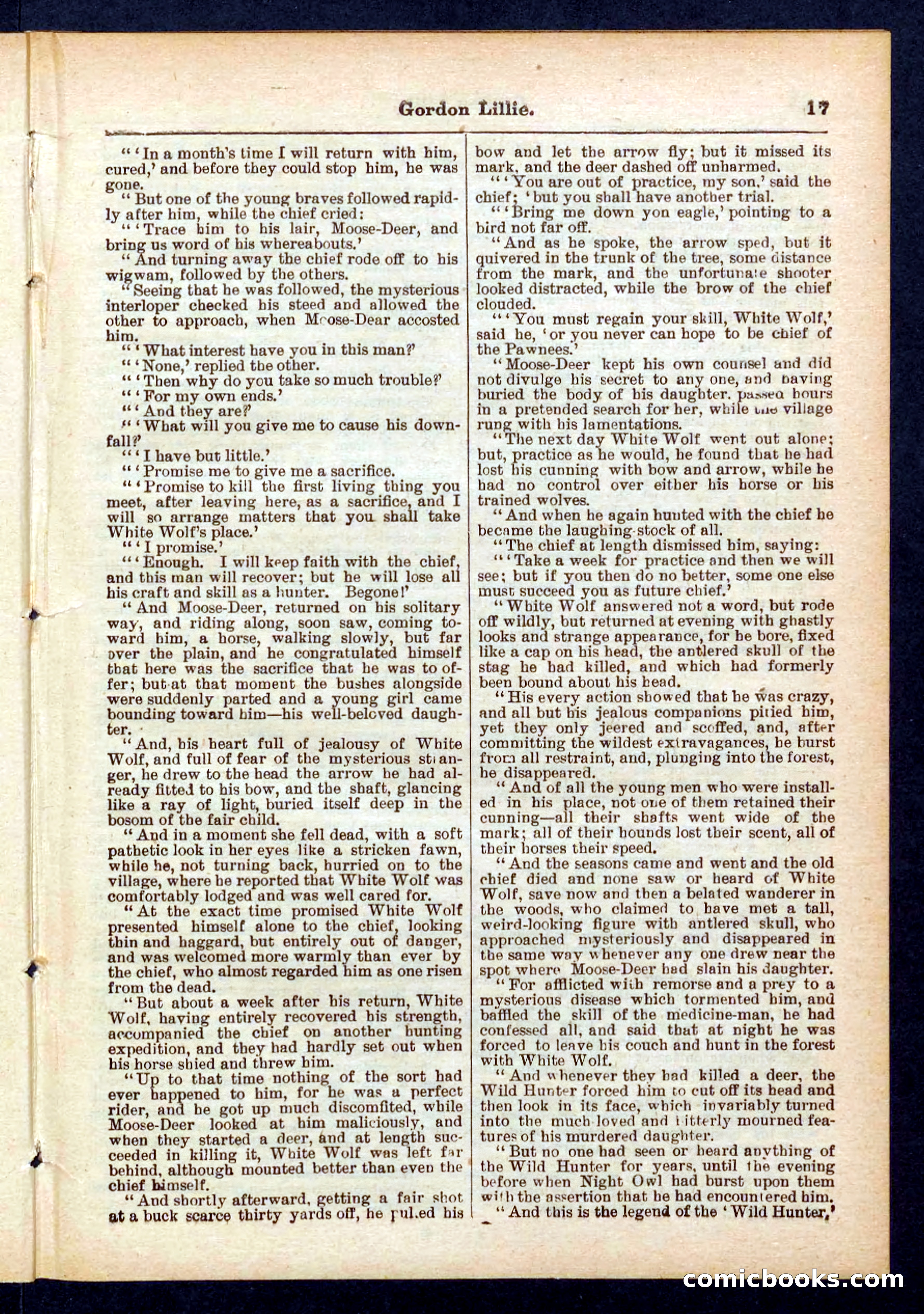 Beadle's Pocket Library No. 431 — page 17 of 32