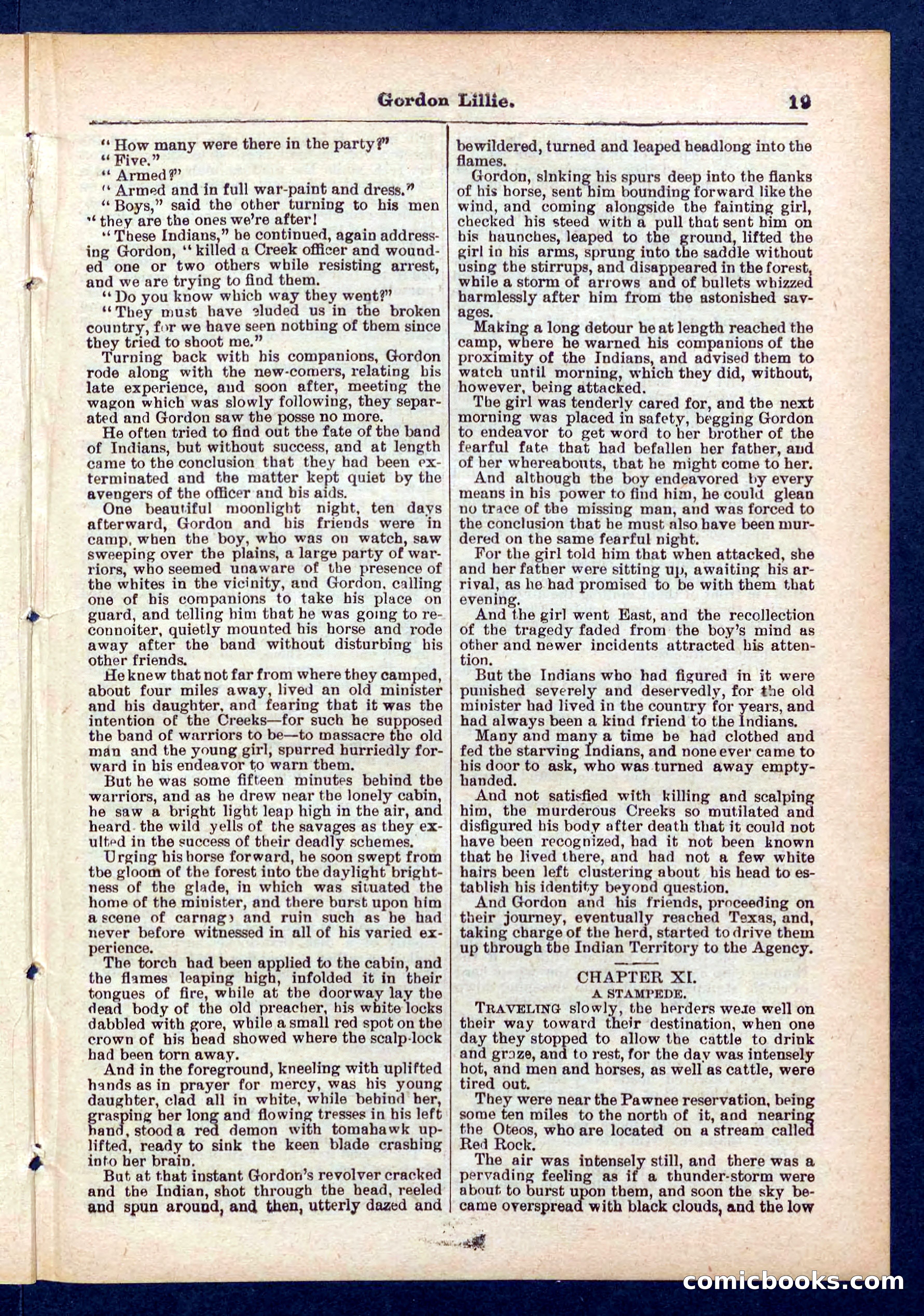 Beadle's Pocket Library No. 431 — page 19 of 32