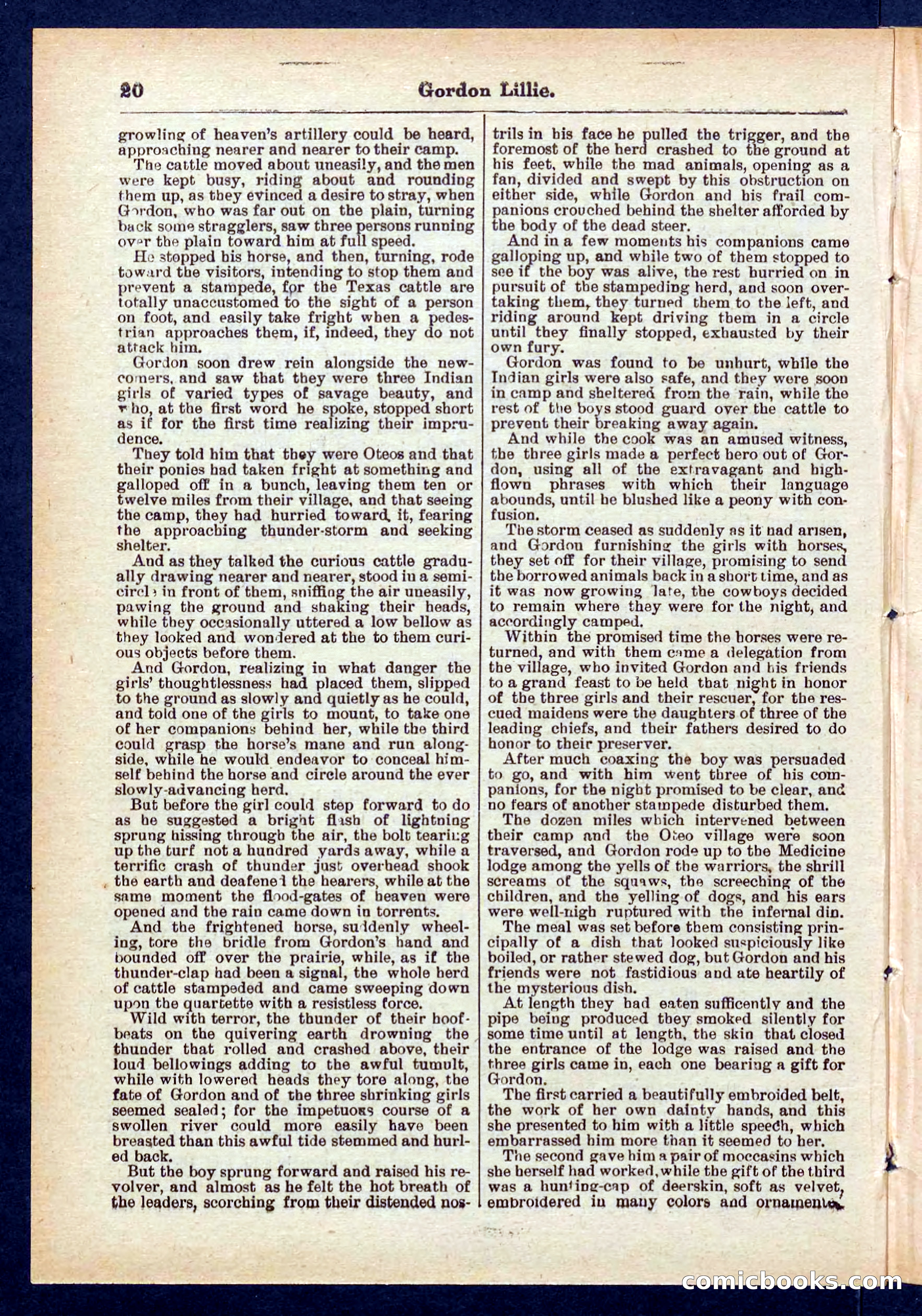 Beadle's Pocket Library No. 431 — page 20 of 32