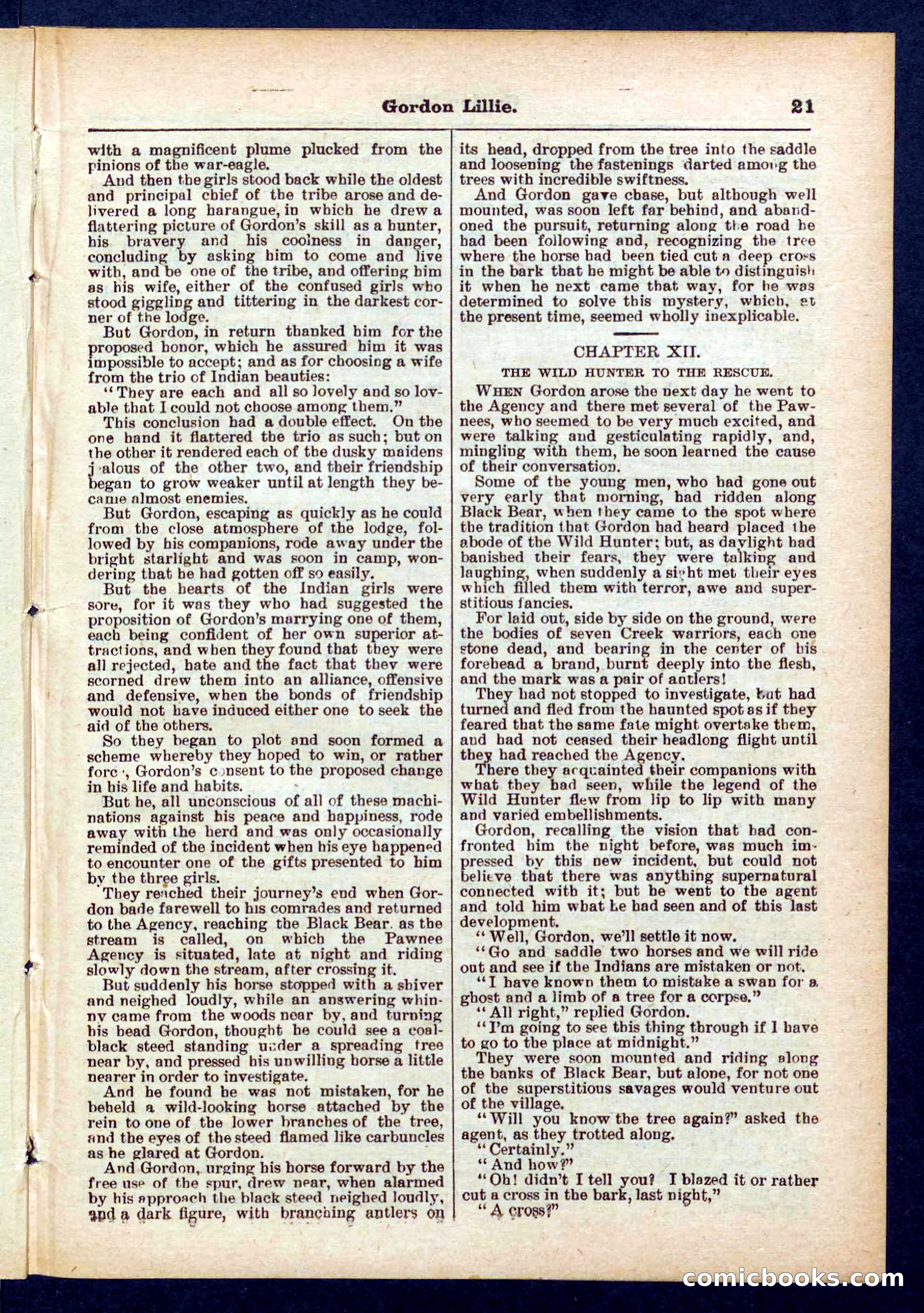 Beadle's Pocket Library No. 431 — page 21 of 32