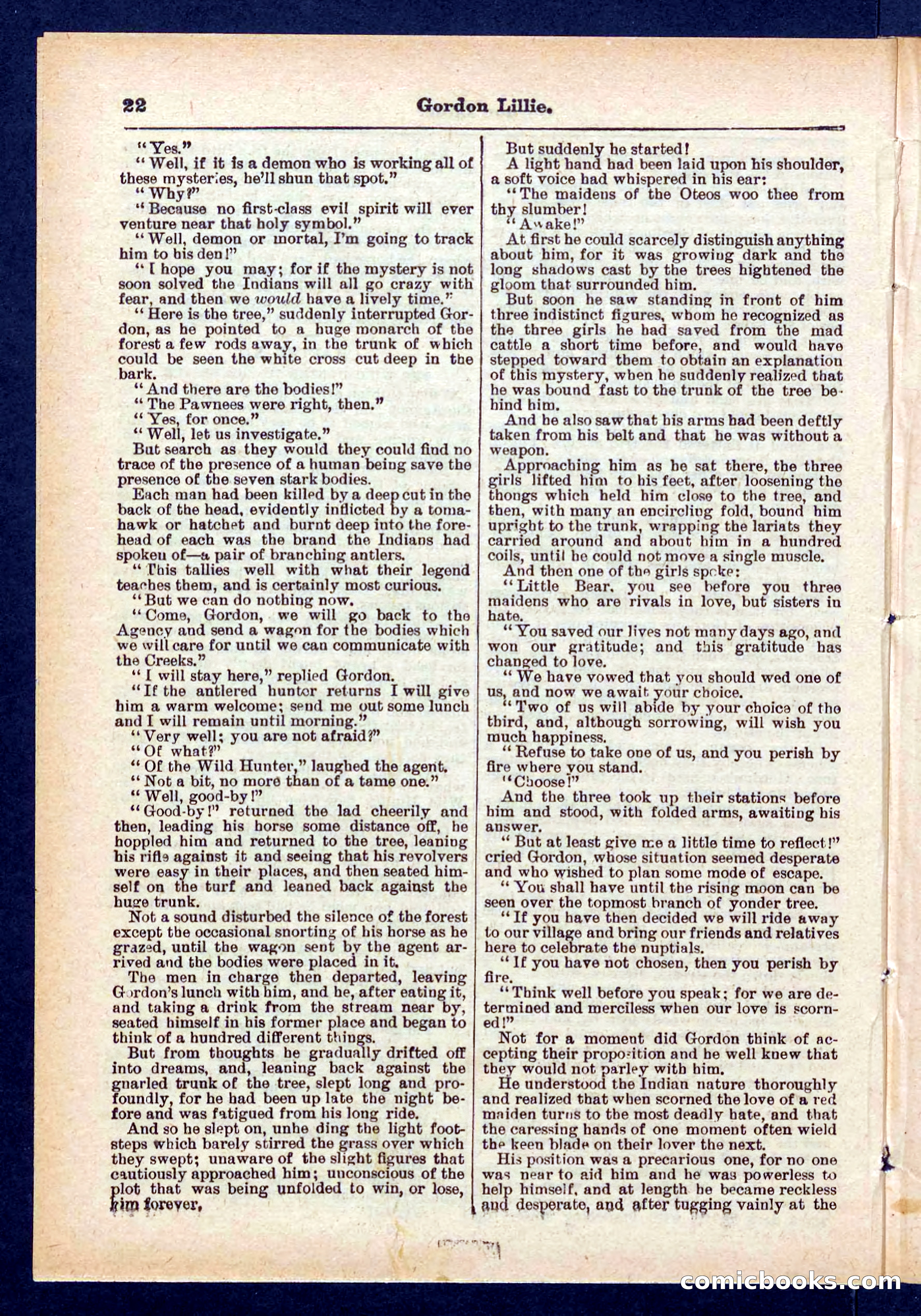 Beadle's Pocket Library No. 431 — page 22 of 32
