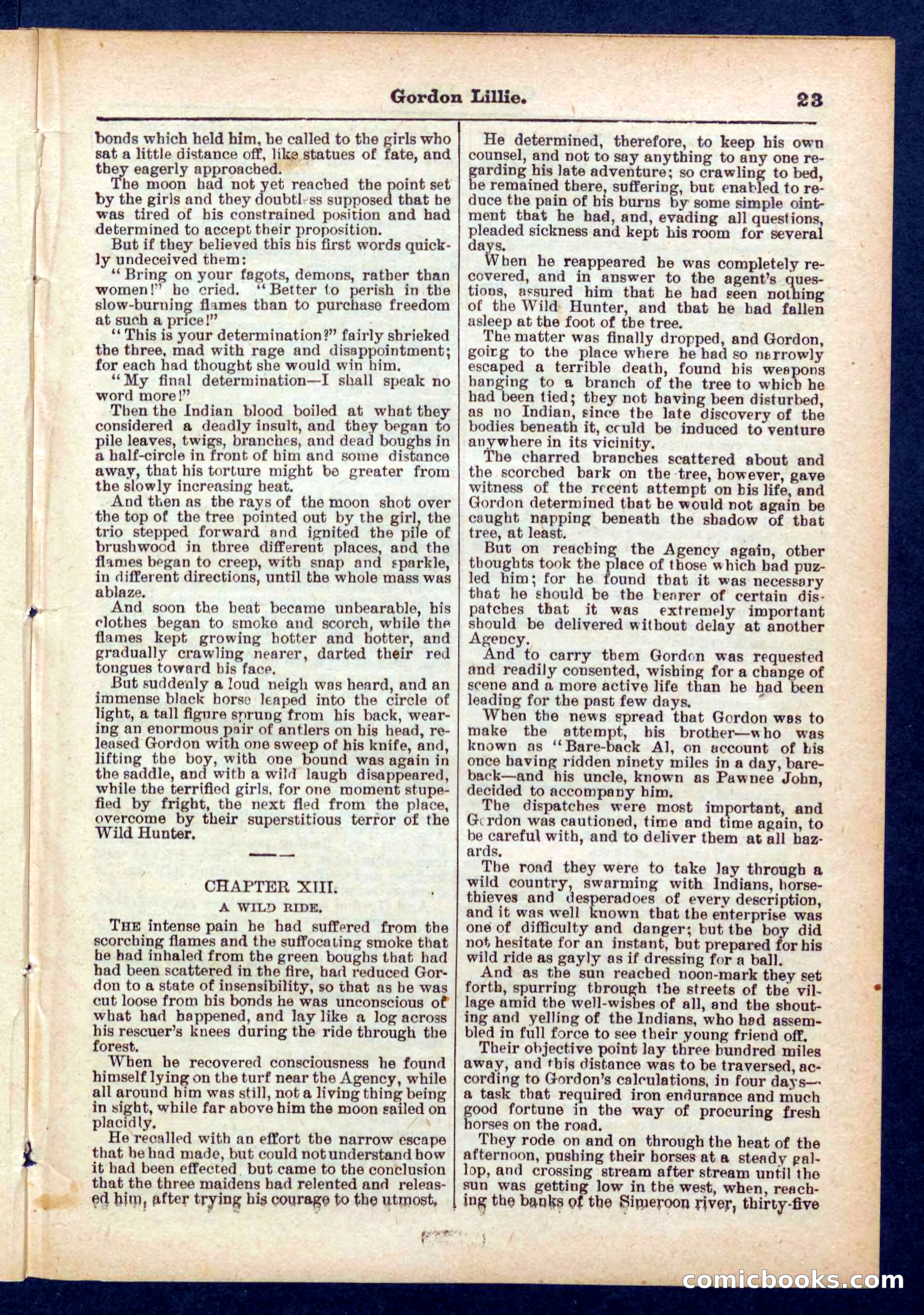 Beadle's Pocket Library No. 431 — page 23 of 32