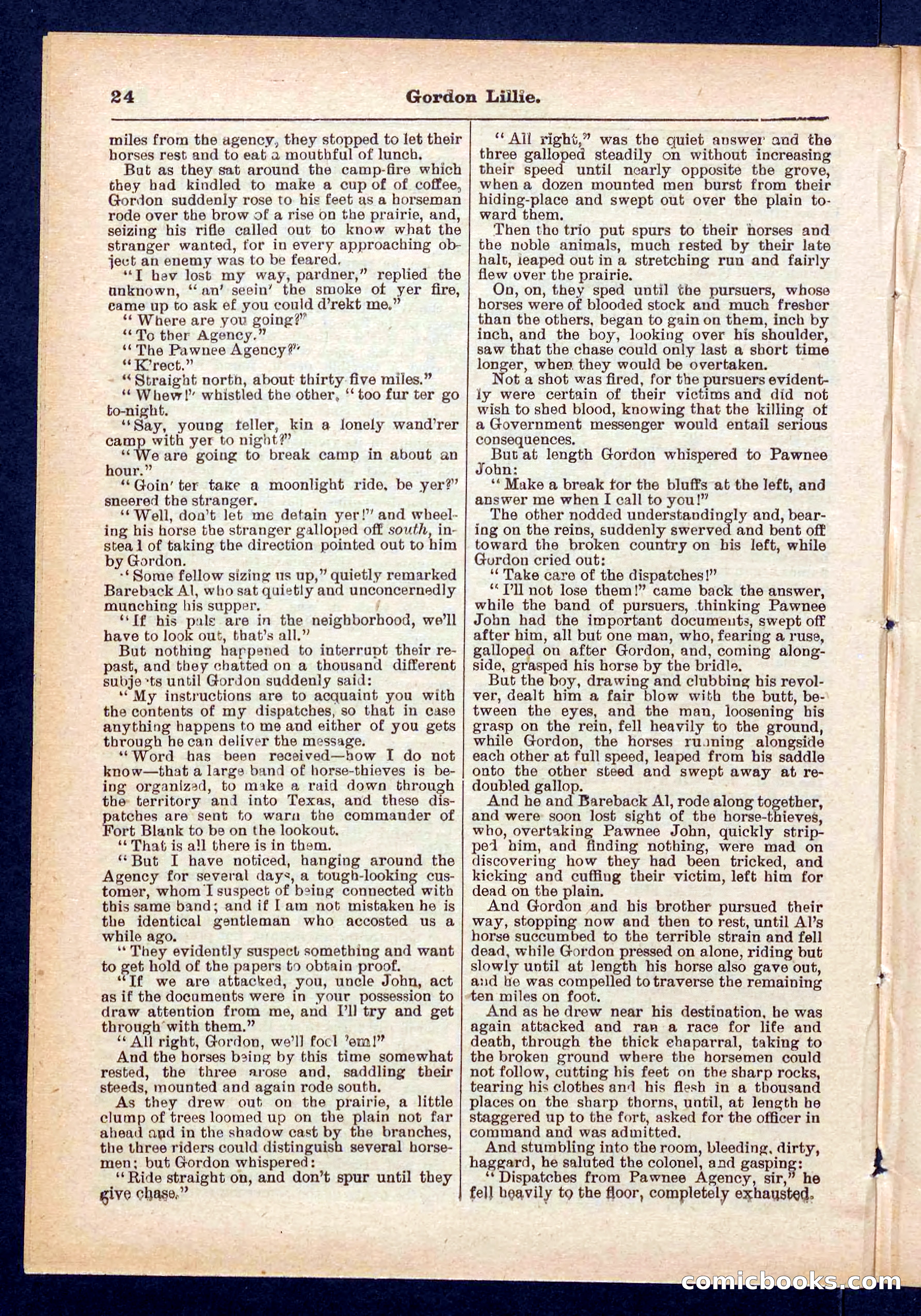 Beadle's Pocket Library No. 431 — page 24 of 32
