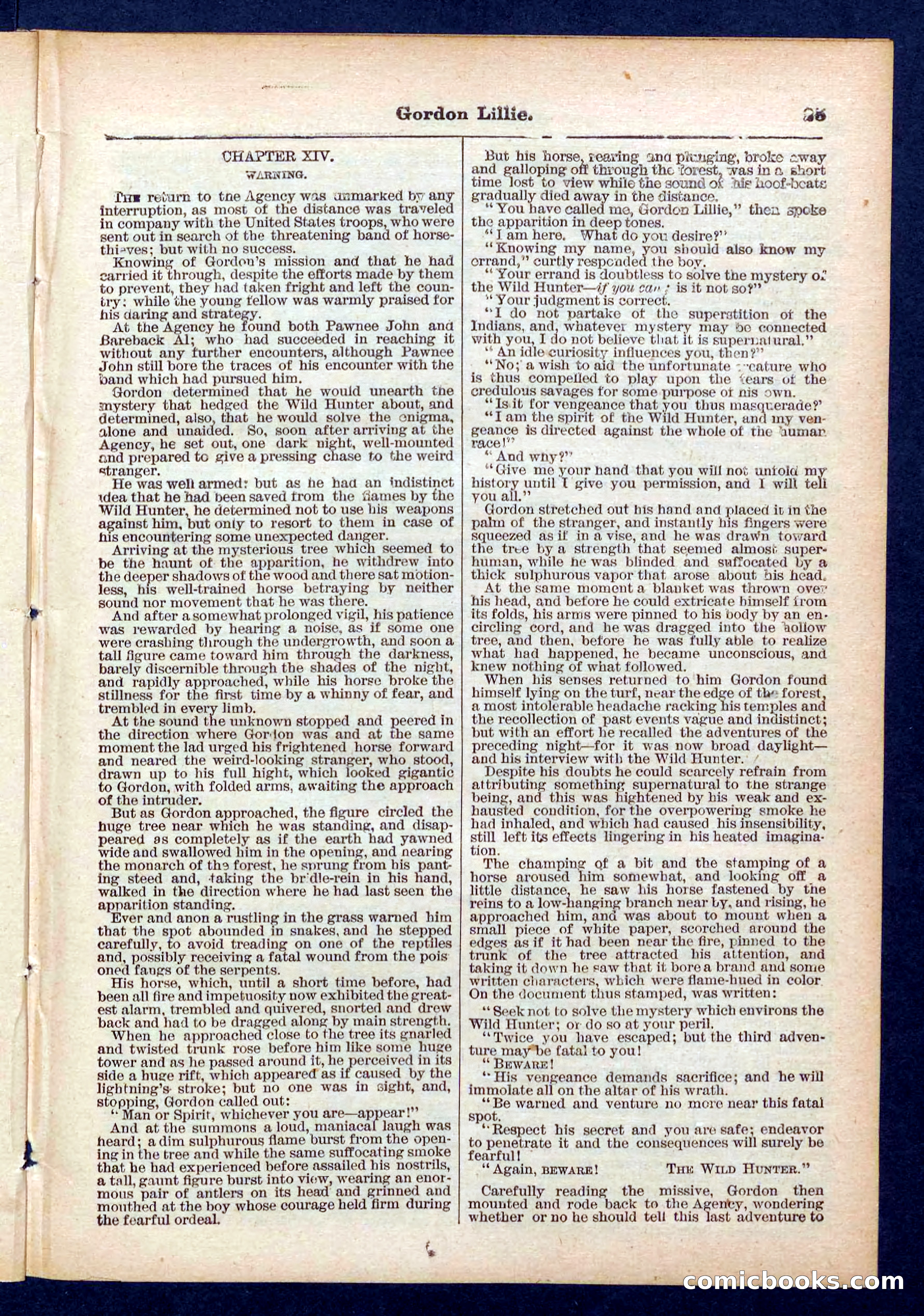 Beadle's Pocket Library No. 431 — page 25 of 32