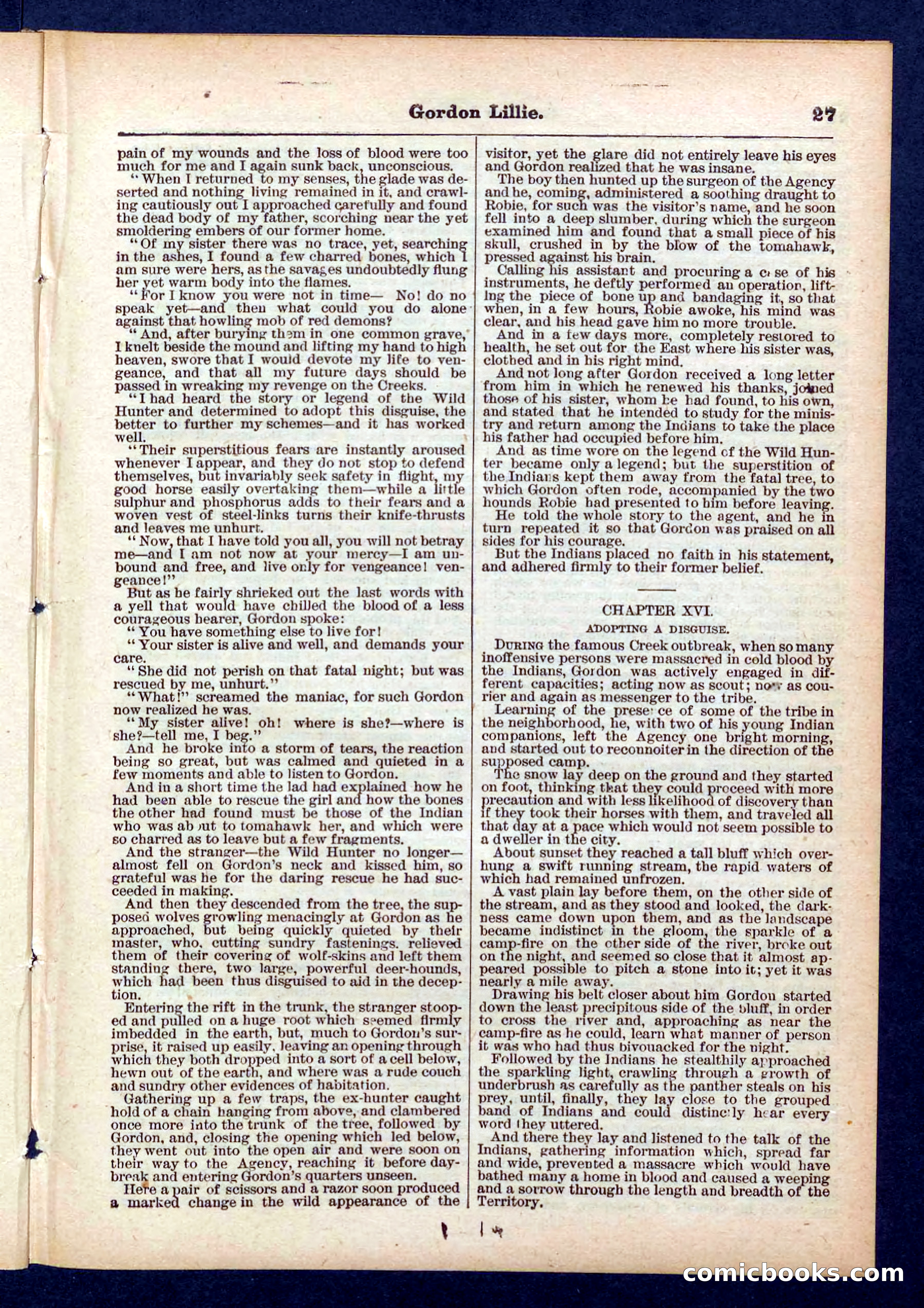 Beadle's Pocket Library No. 431 — page 27 of 32