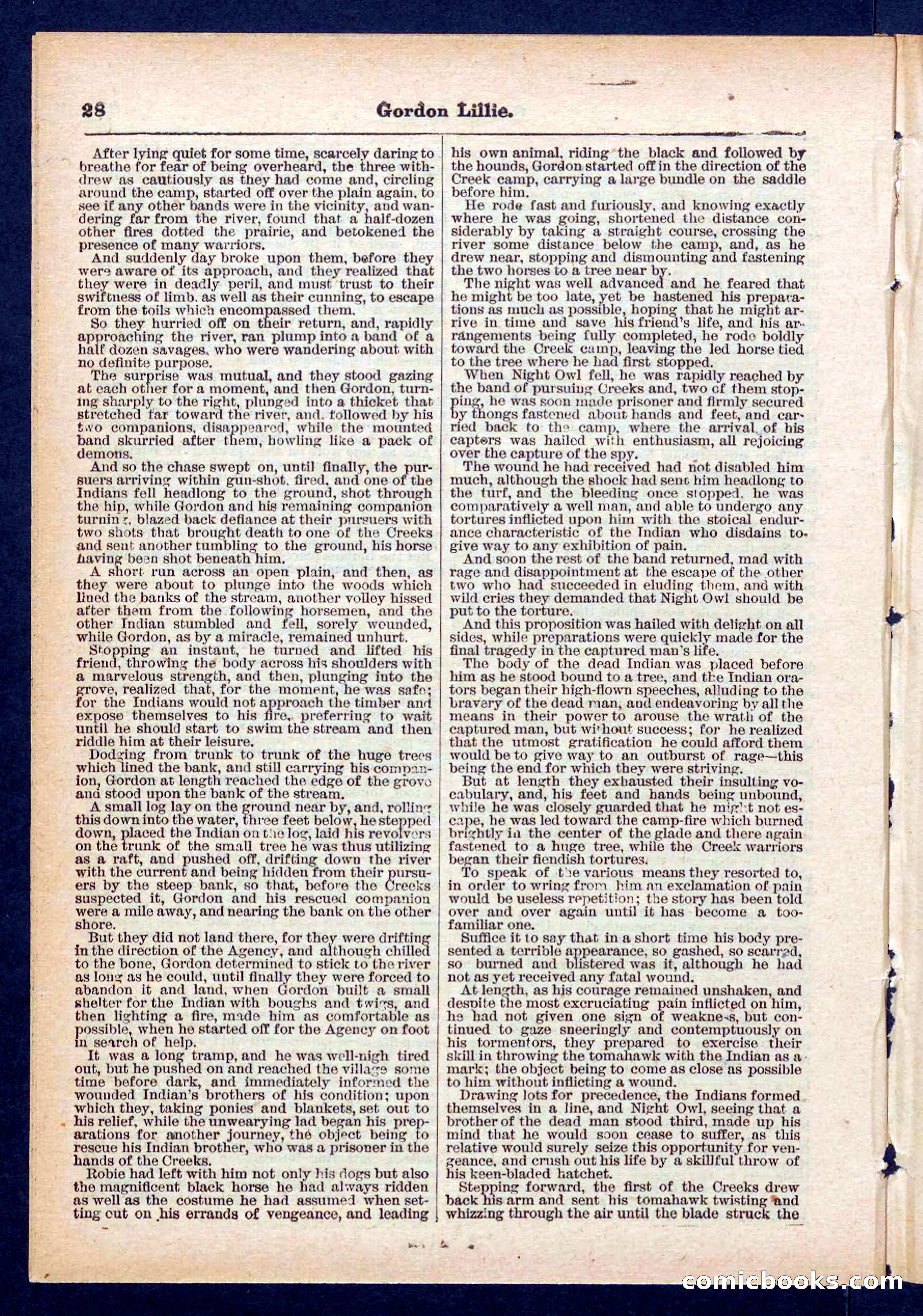 Beadle's Pocket Library No. 431 — page 28 of 32
