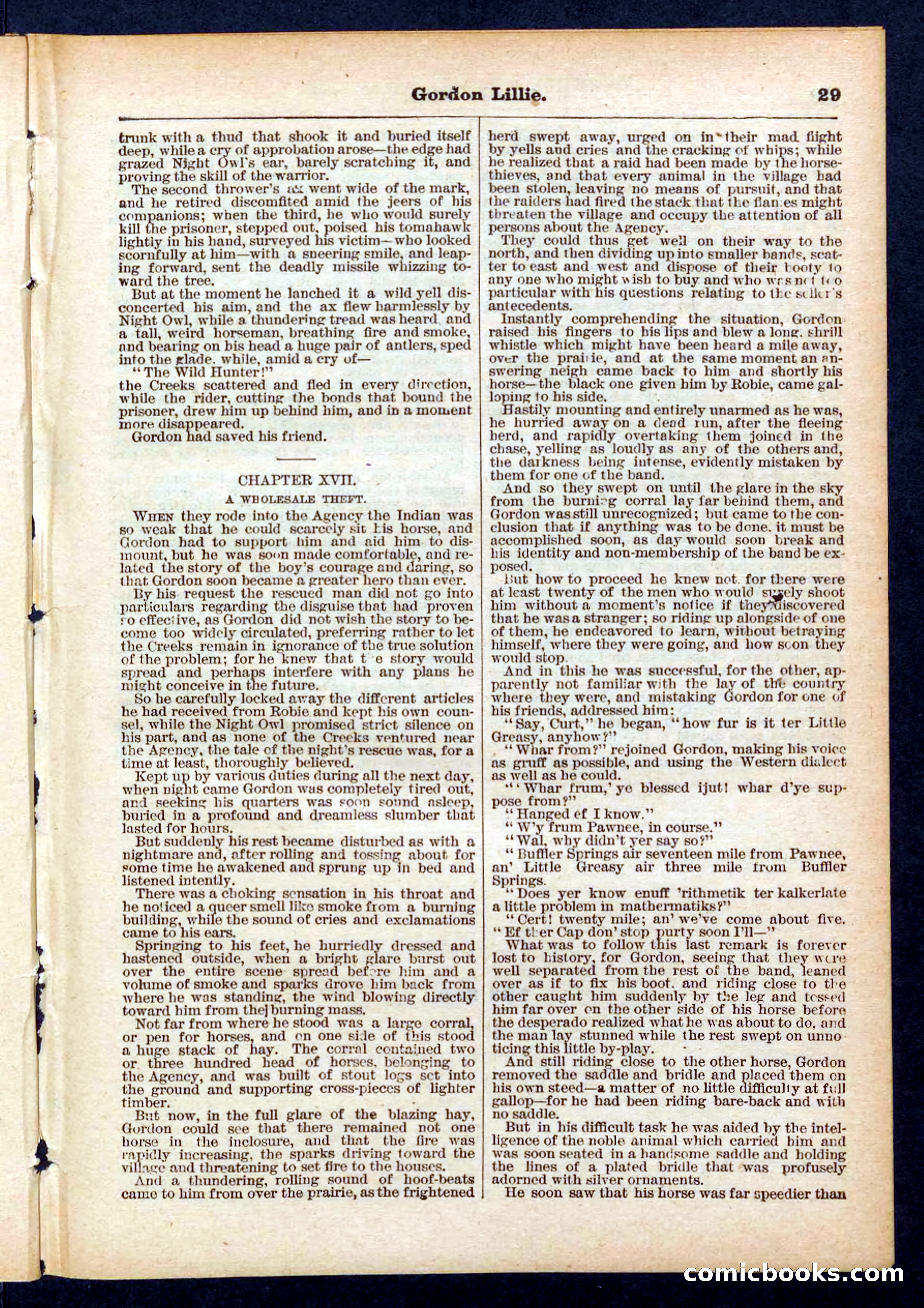 Beadle's Pocket Library No. 431 — page 29 of 32