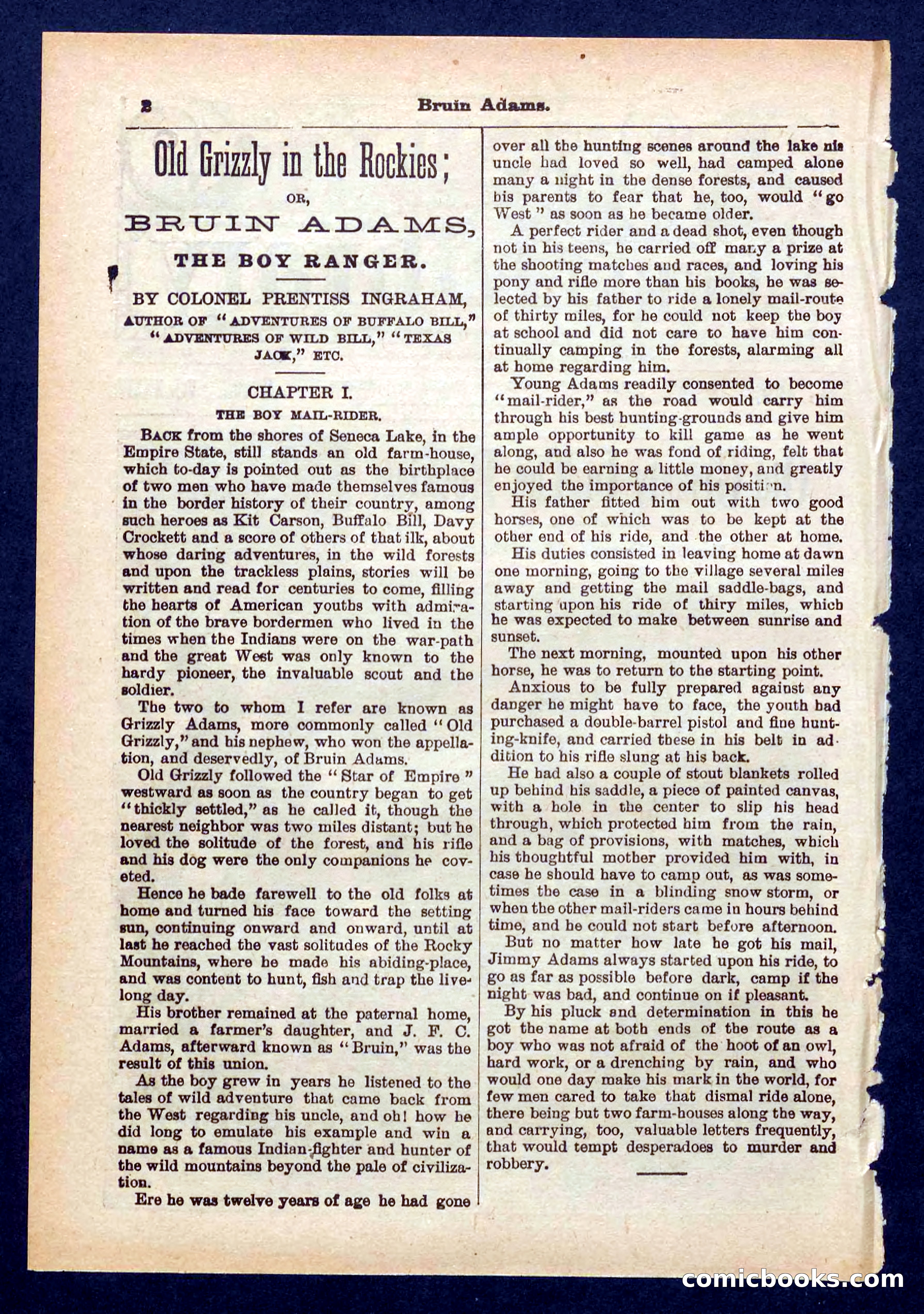 Beadle's Pocket Library No. 433 — page 2 of 32