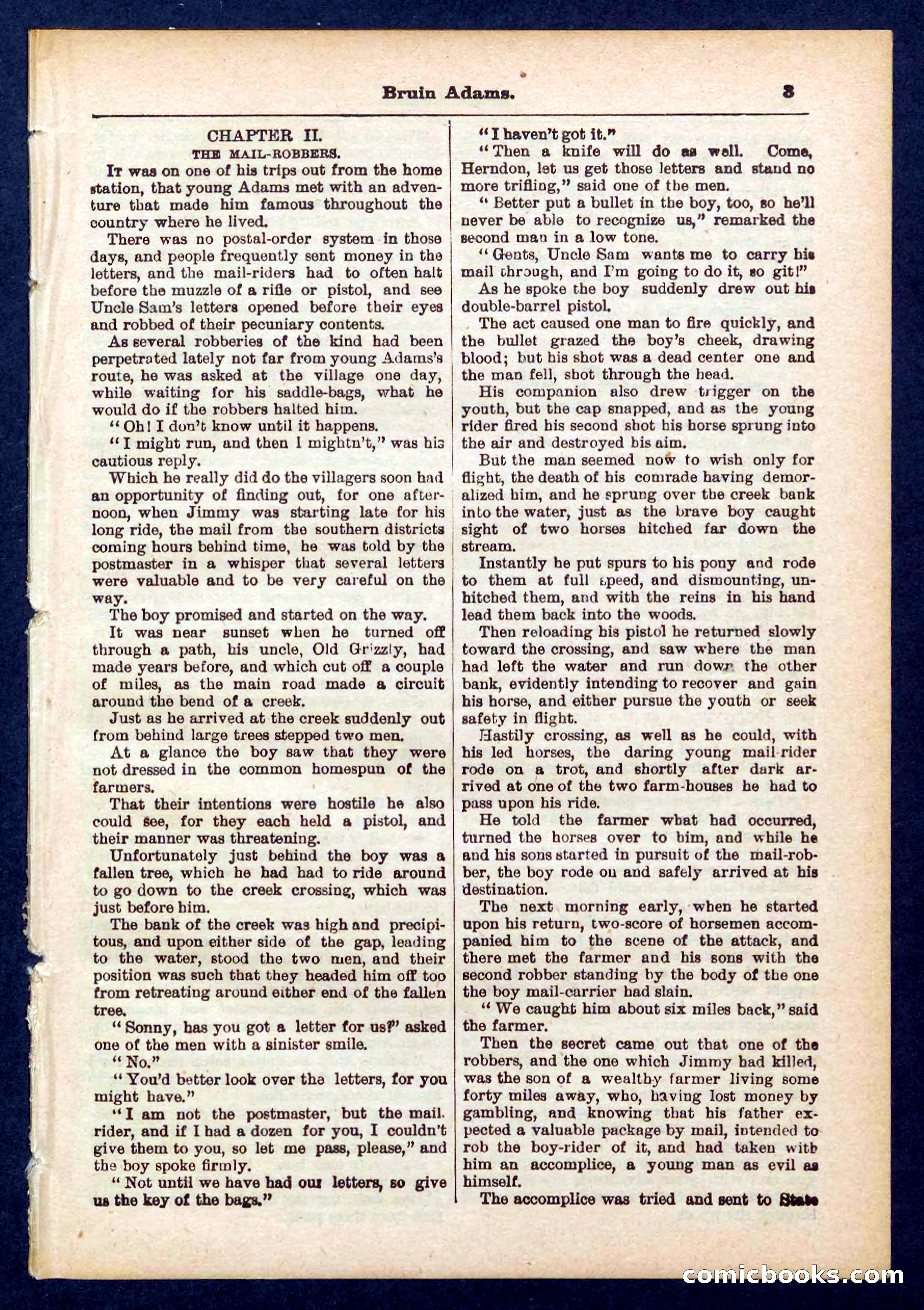 Beadle's Pocket Library No. 433 — page 3 of 32