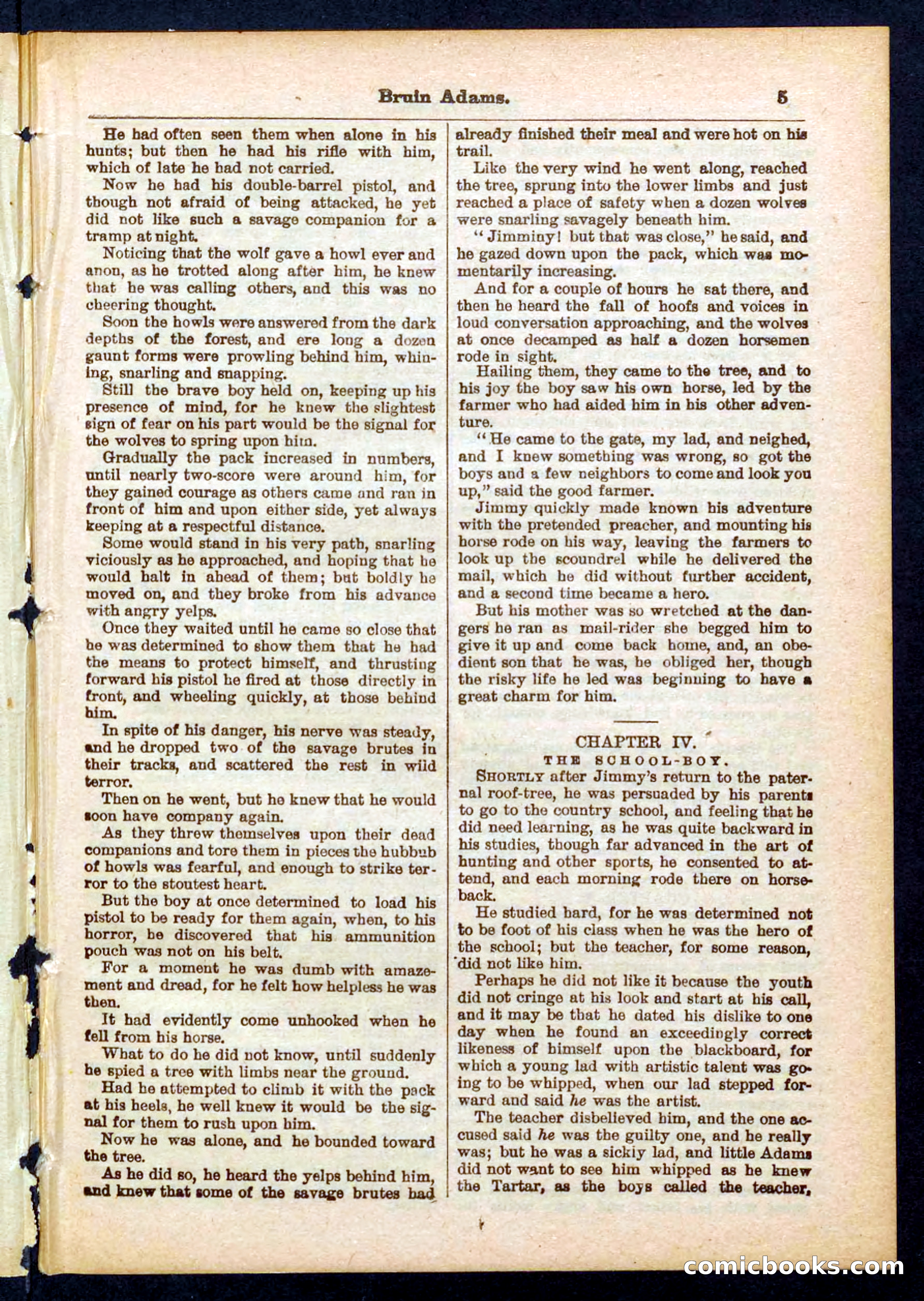 Beadle's Pocket Library No. 433 — page 5 of 32