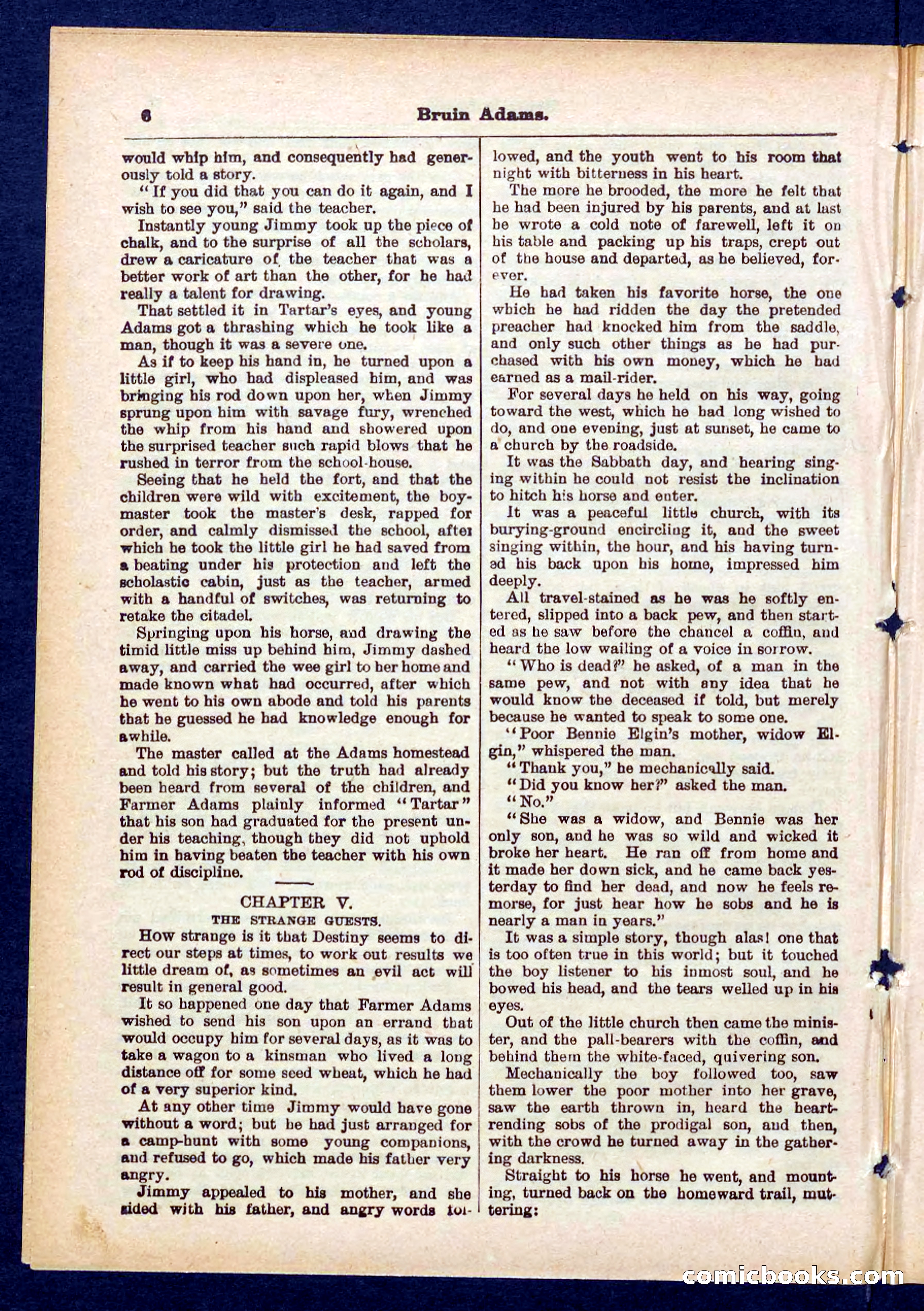 Beadle's Pocket Library No. 433 — page 6 of 32