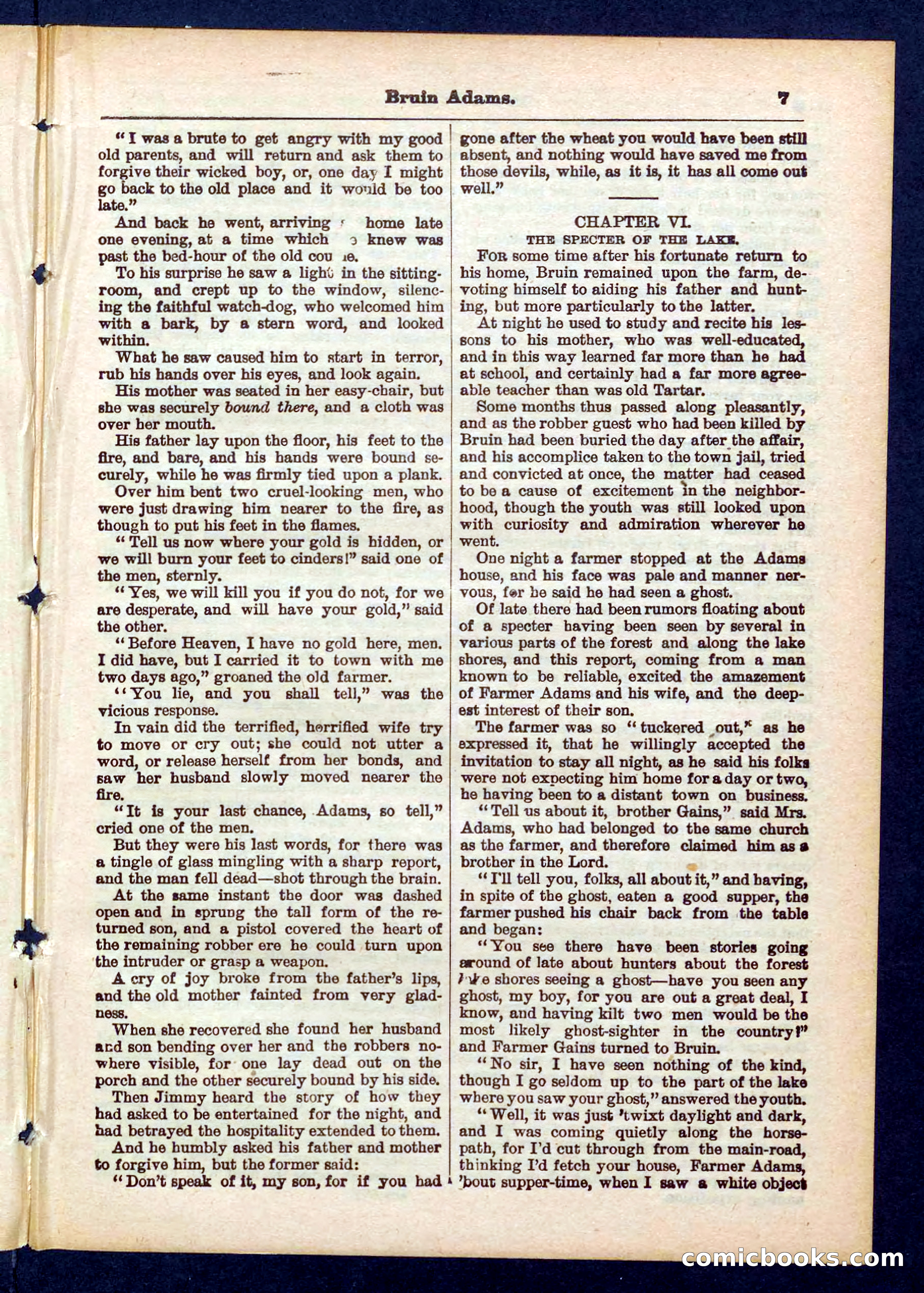 Beadle's Pocket Library No. 433 — page 7 of 32