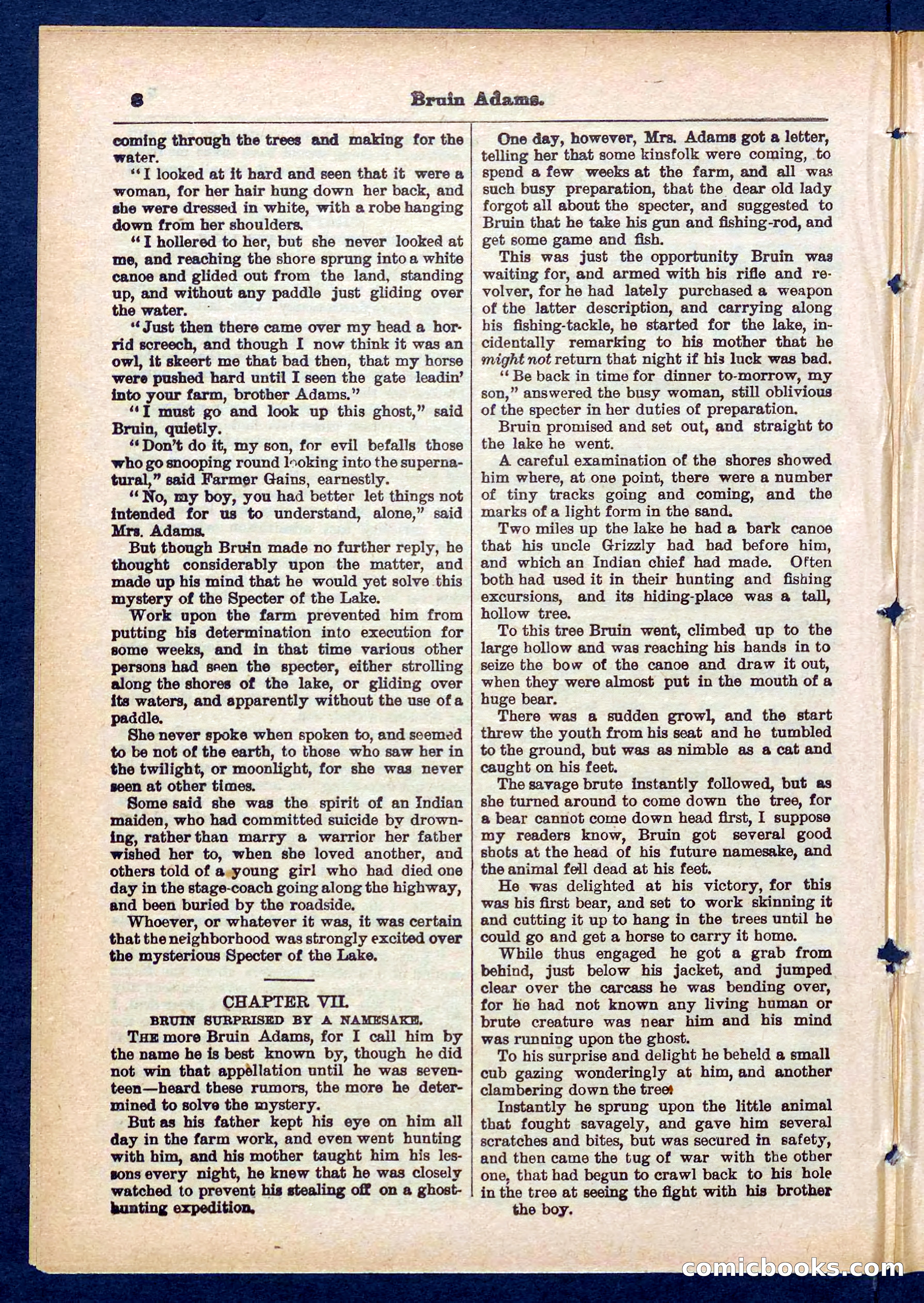 Beadle's Pocket Library No. 433 — page 8 of 32