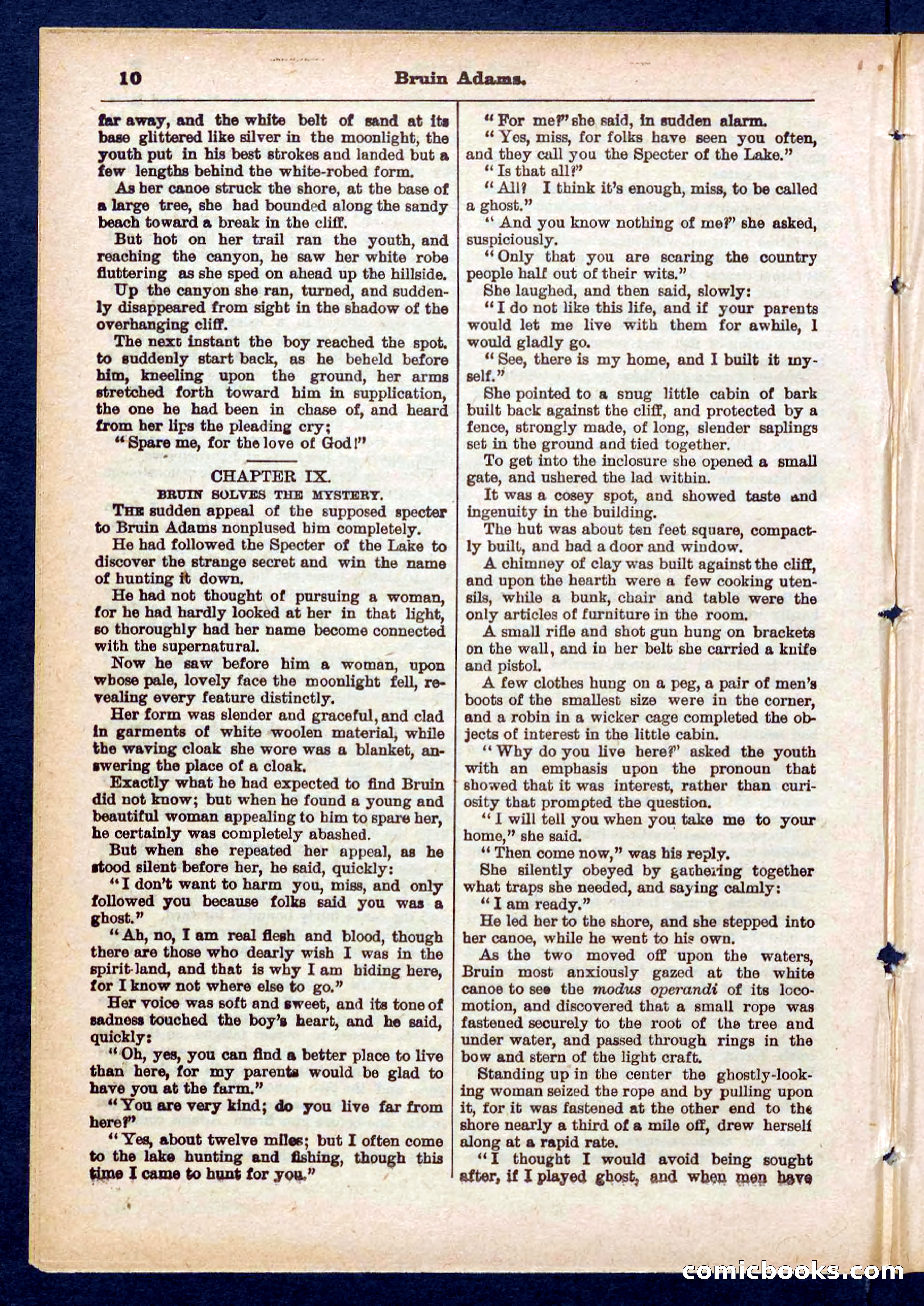 Beadle's Pocket Library No. 433 — page 10 of 32