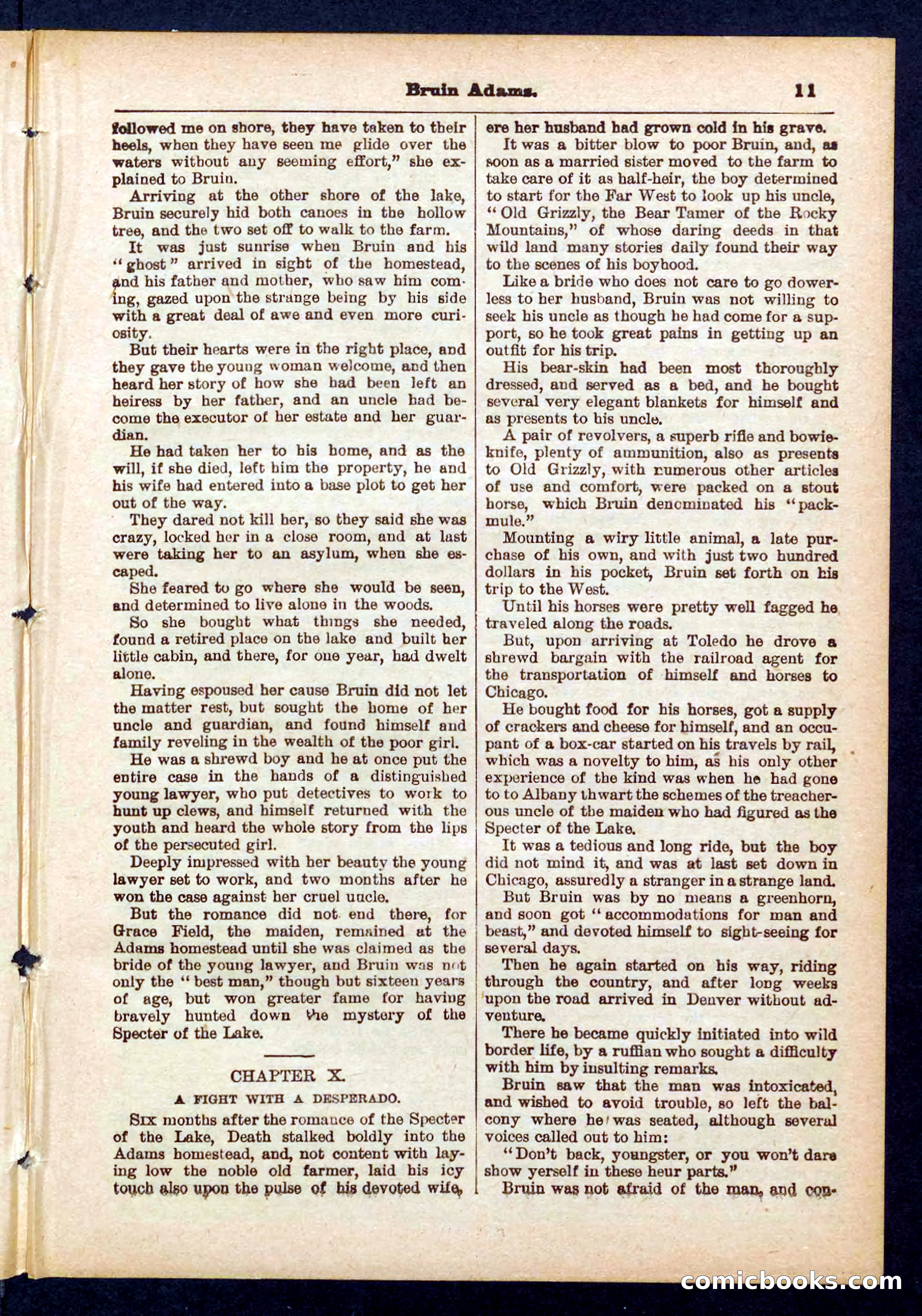 Beadle's Pocket Library No. 433 — page 11 of 32