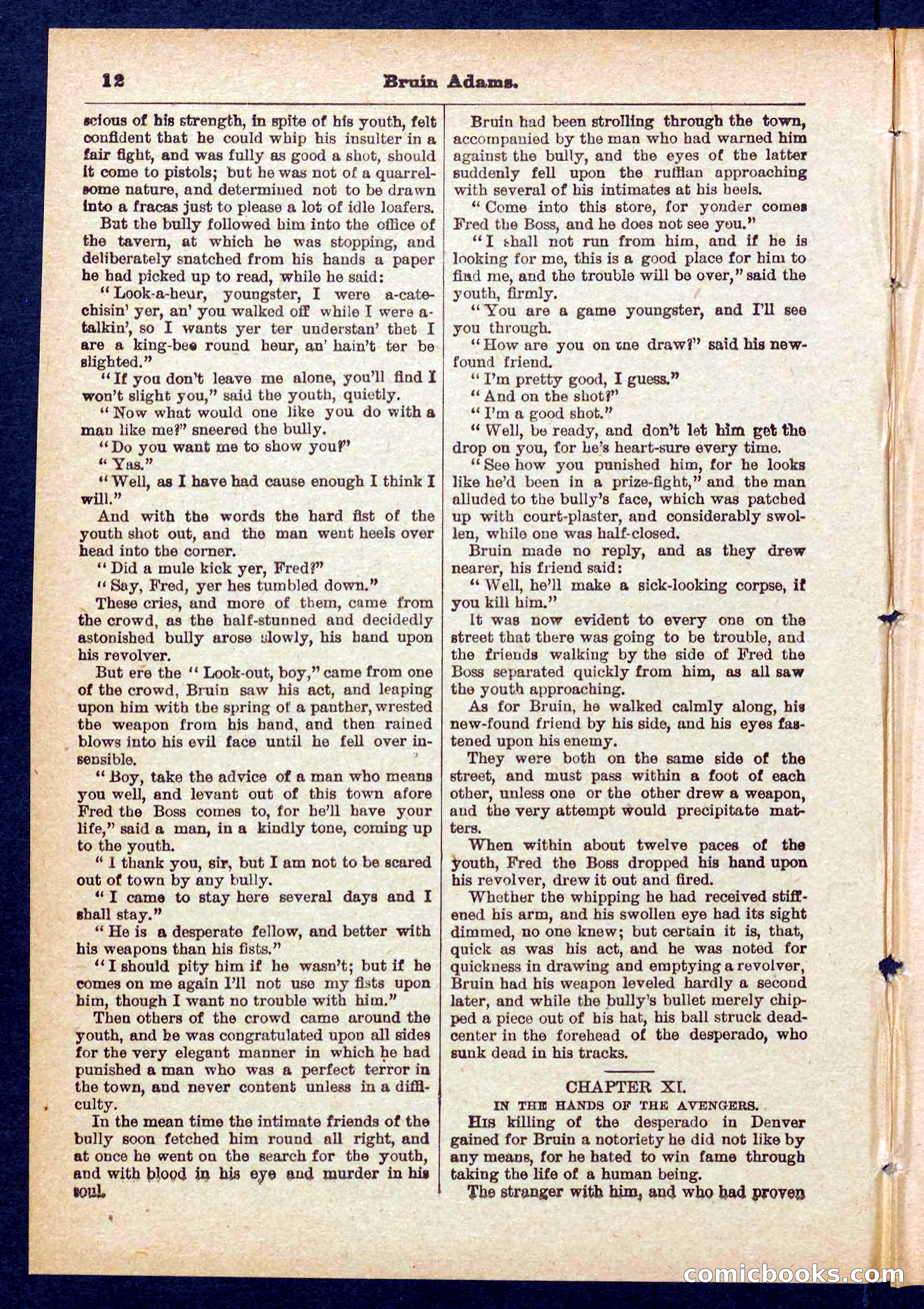 Beadle's Pocket Library No. 433 — page 12 of 32